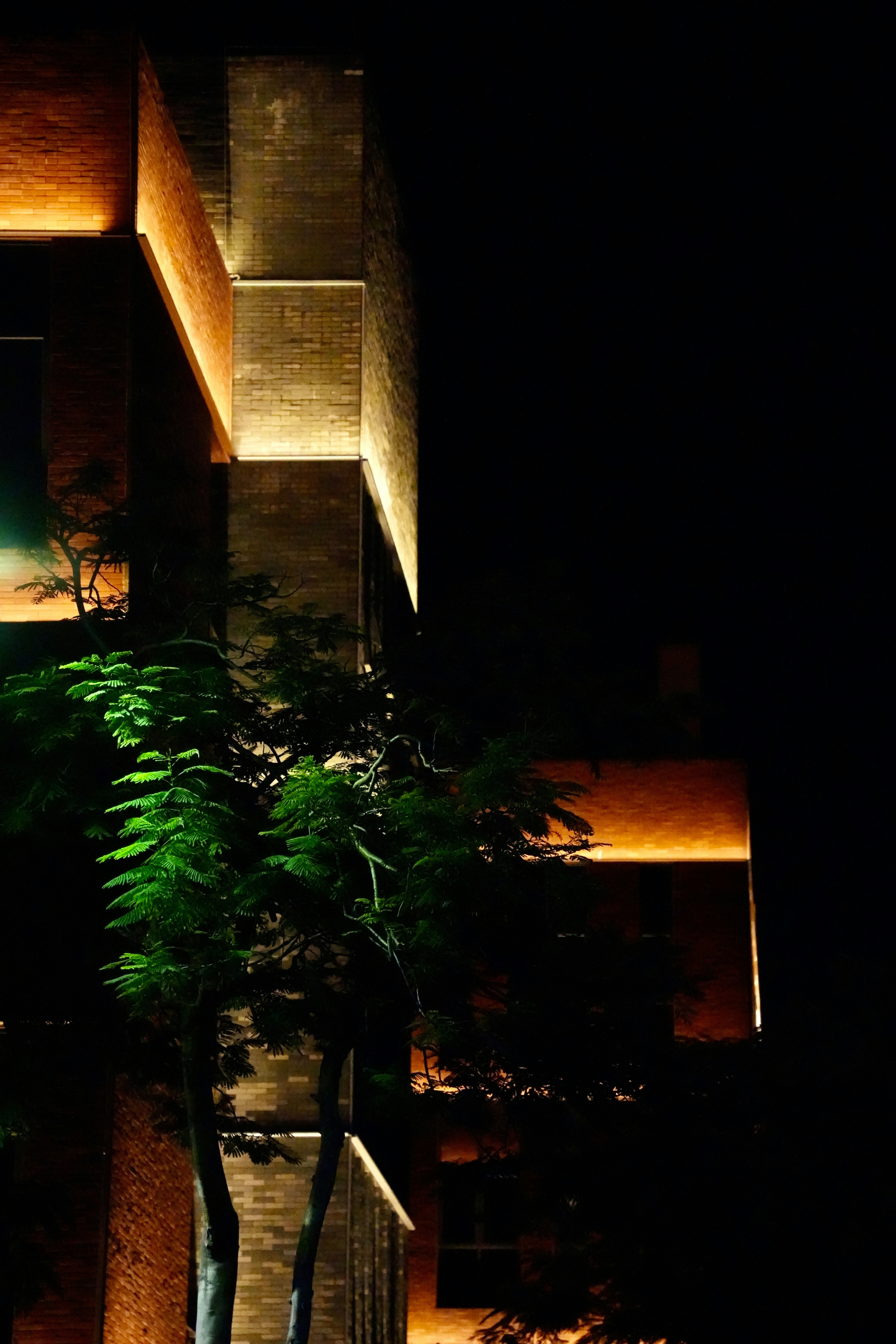 Illuminated modern building at night with a green tree