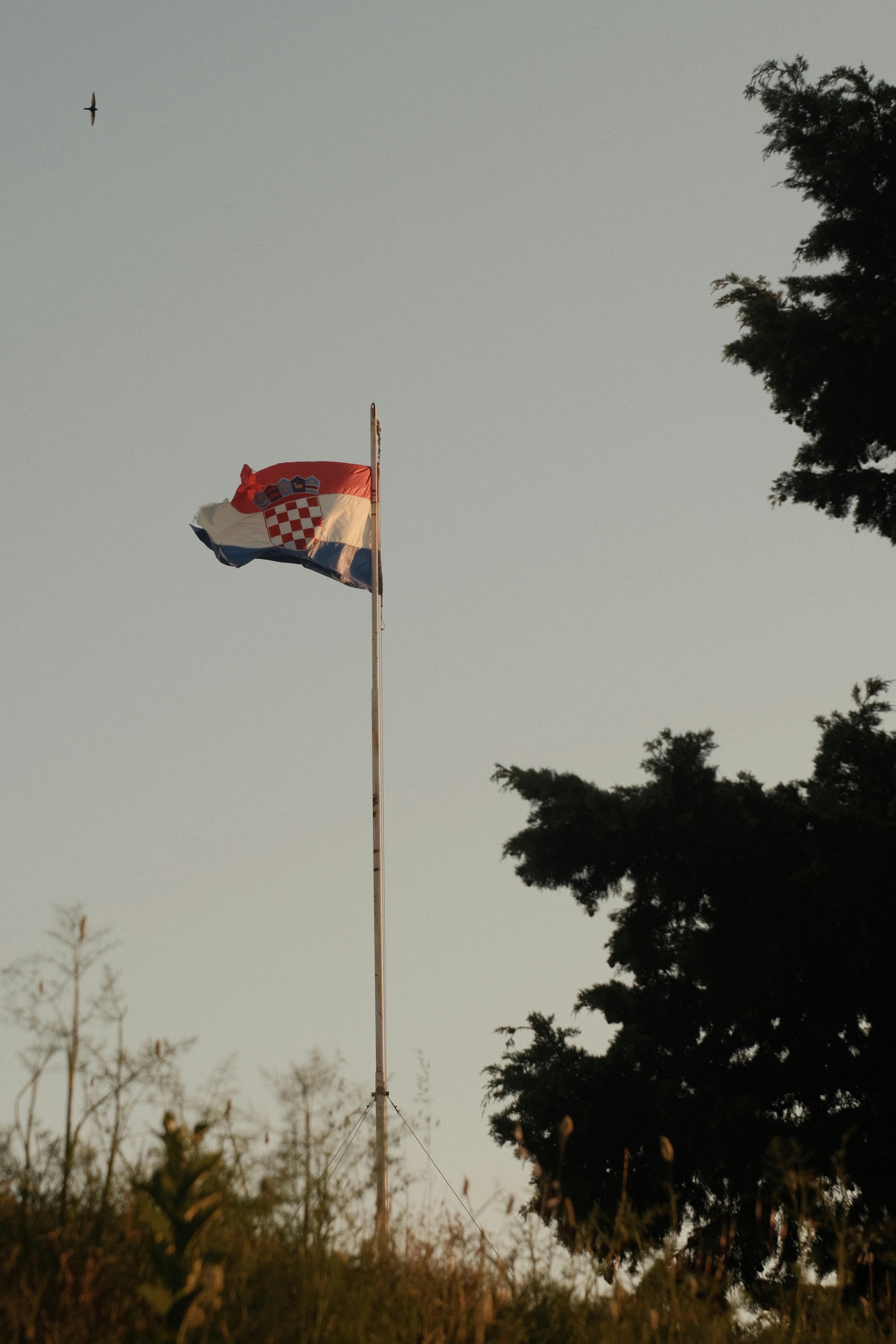 Croatian flag waving against a clear sky.