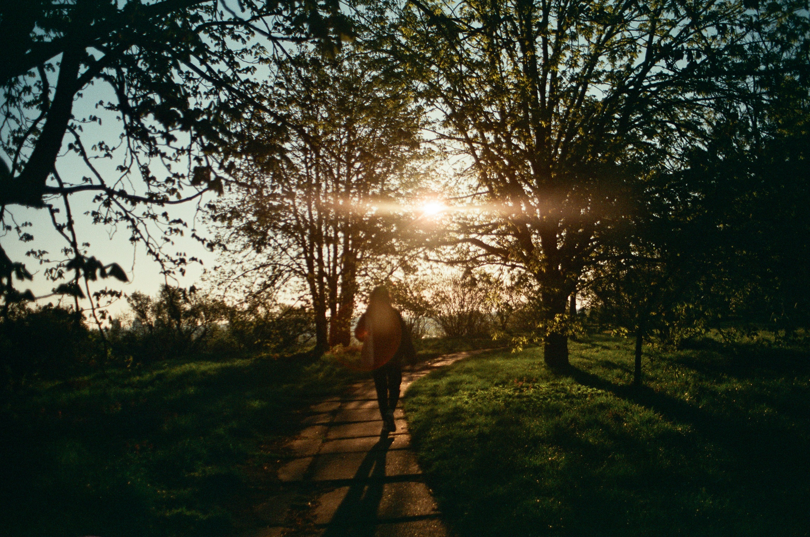 Eine Person, die auf einem Weg in den sonnenbeschienenen Wald geht.