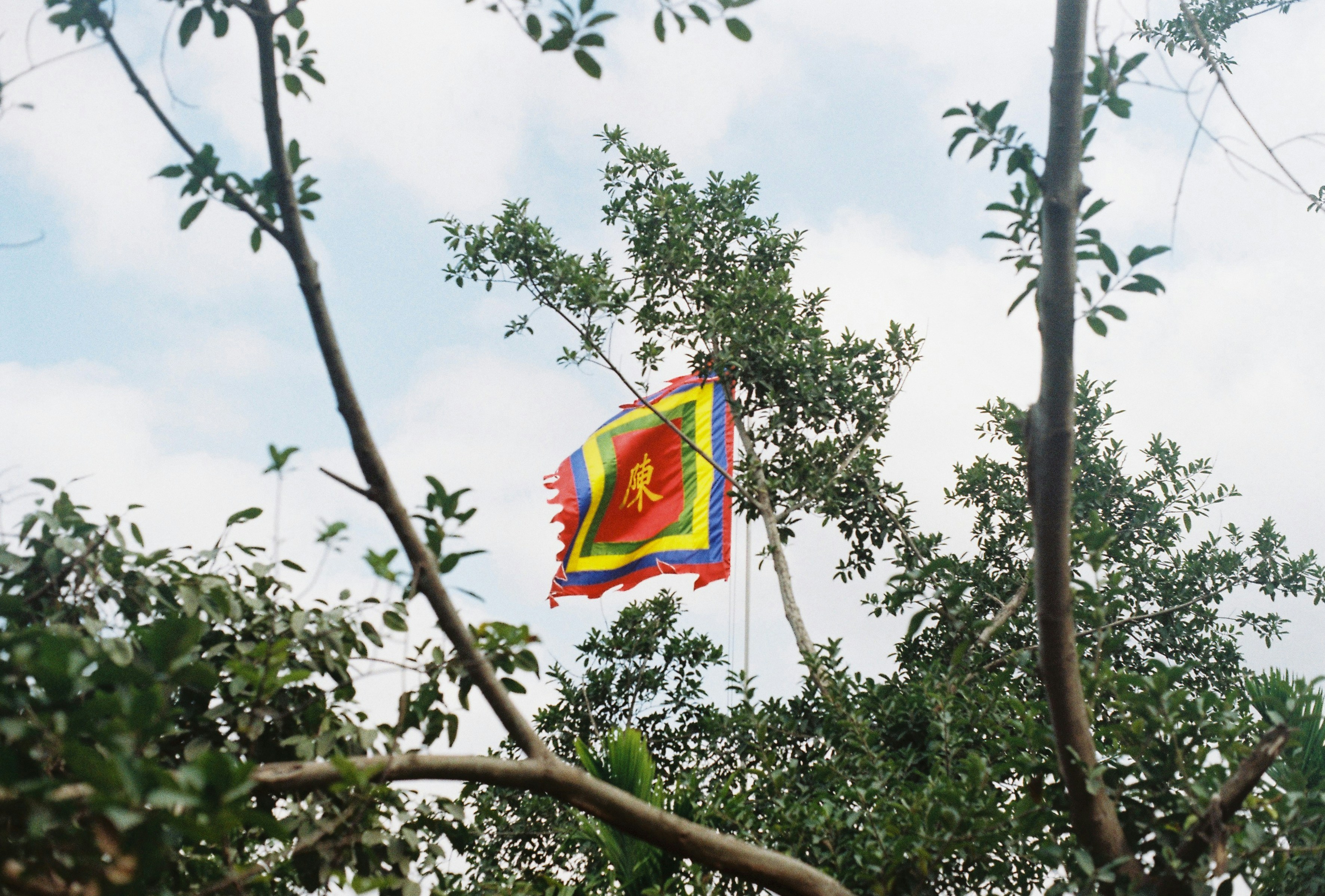 Bendera berornamen tergantung di dalam dedaunan hijau di bawah langit mendung.