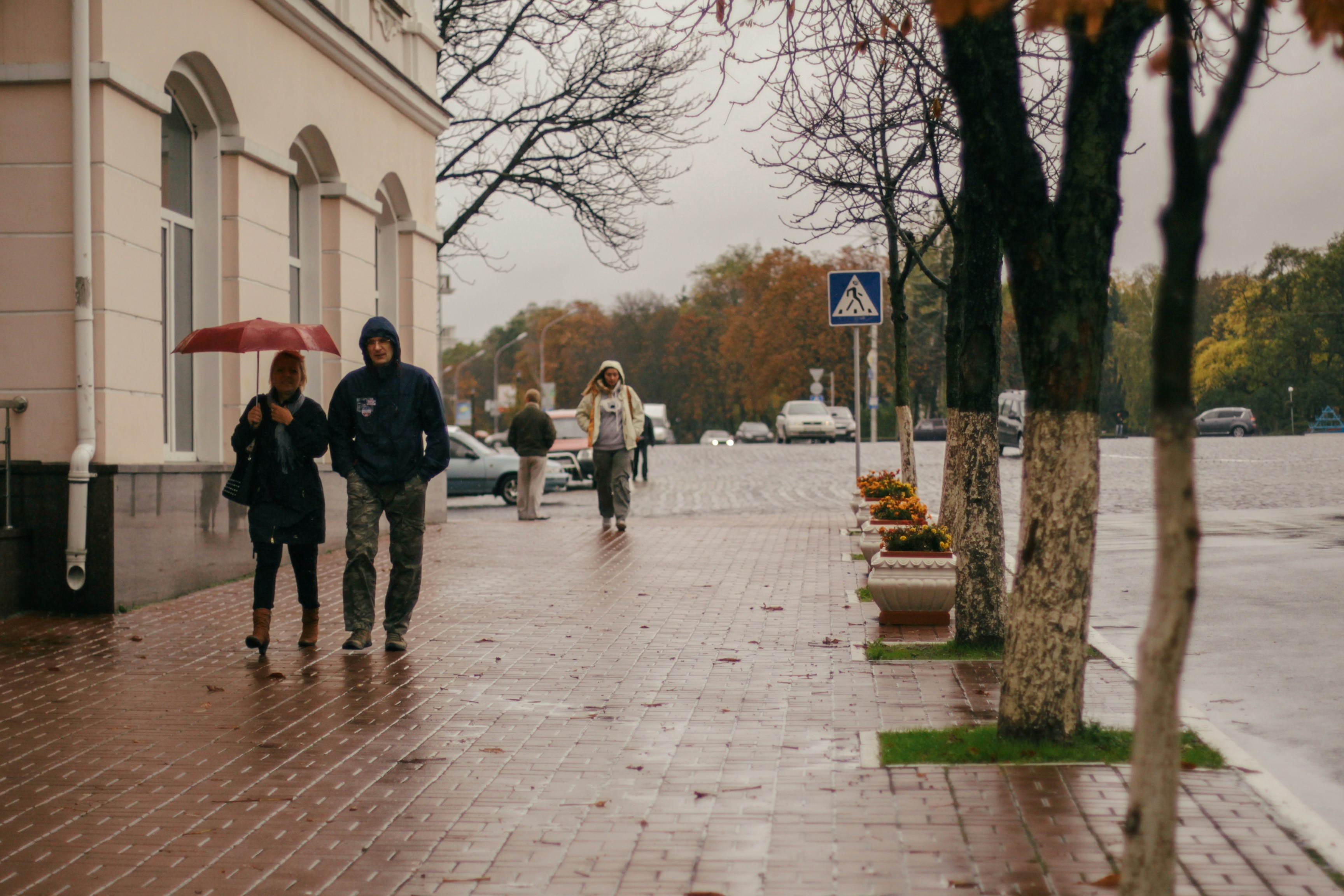 Best Cafes to Work From in Nova Russas (2026)