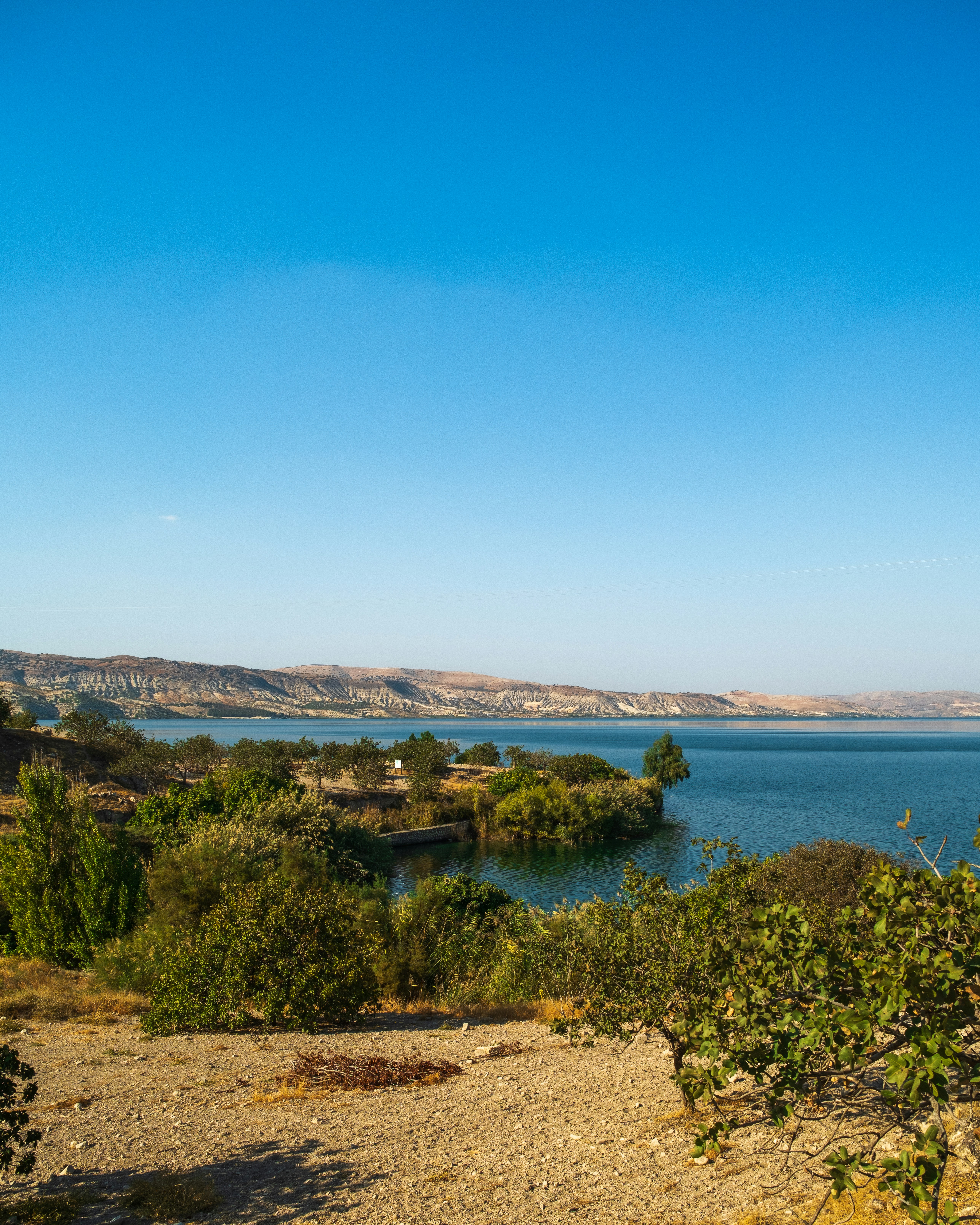A large lake with green trees and distant hills.