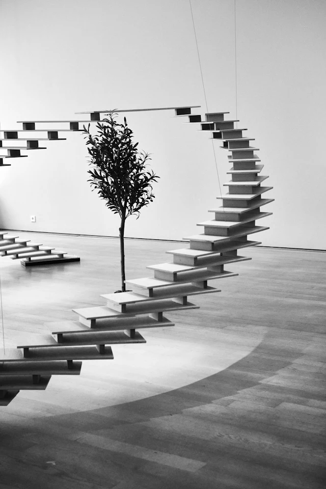 Suspended spiral staircase encircles a tree in an art installation
