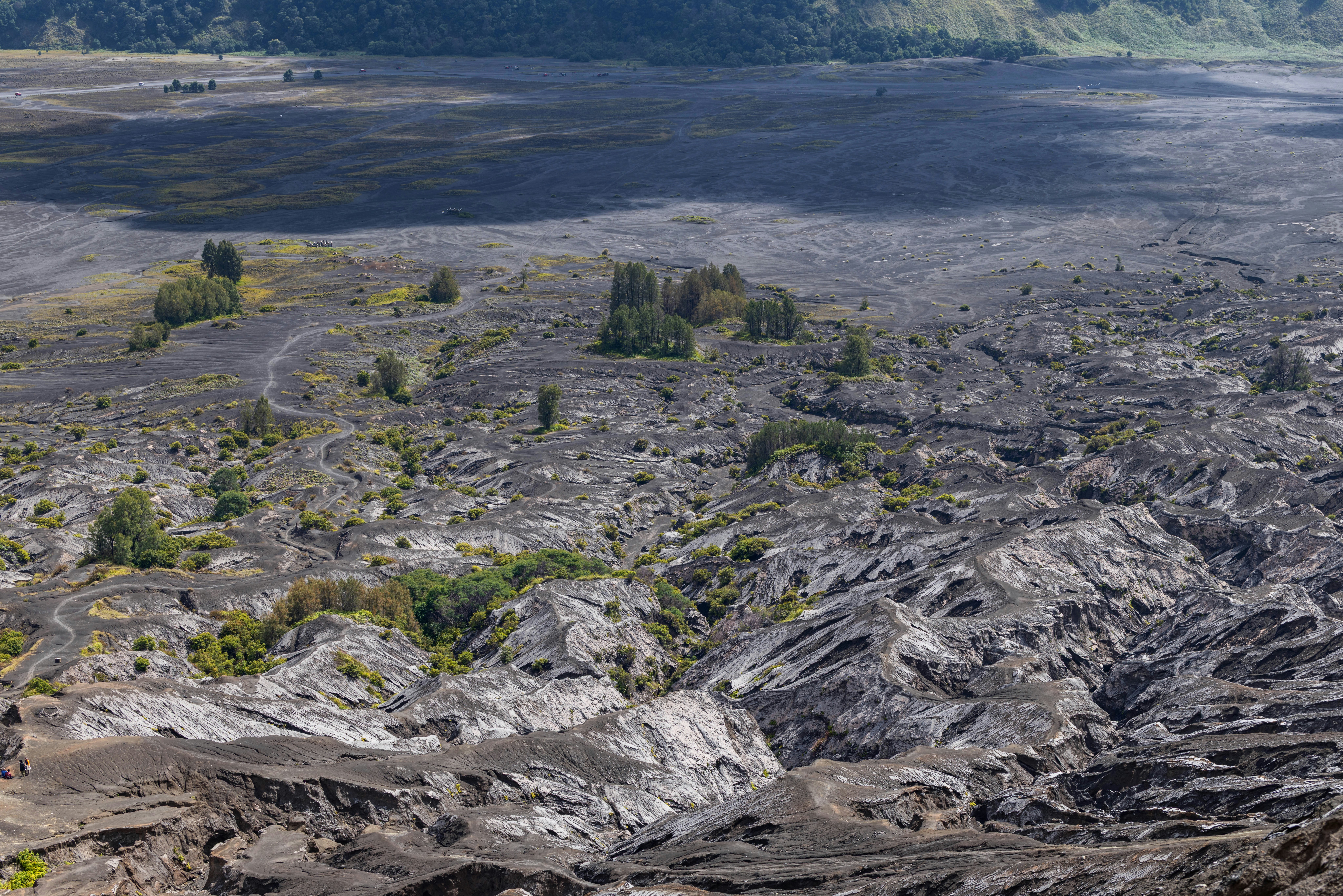 Volcanic landscape with dark, rocky terrain and sparse green plants.