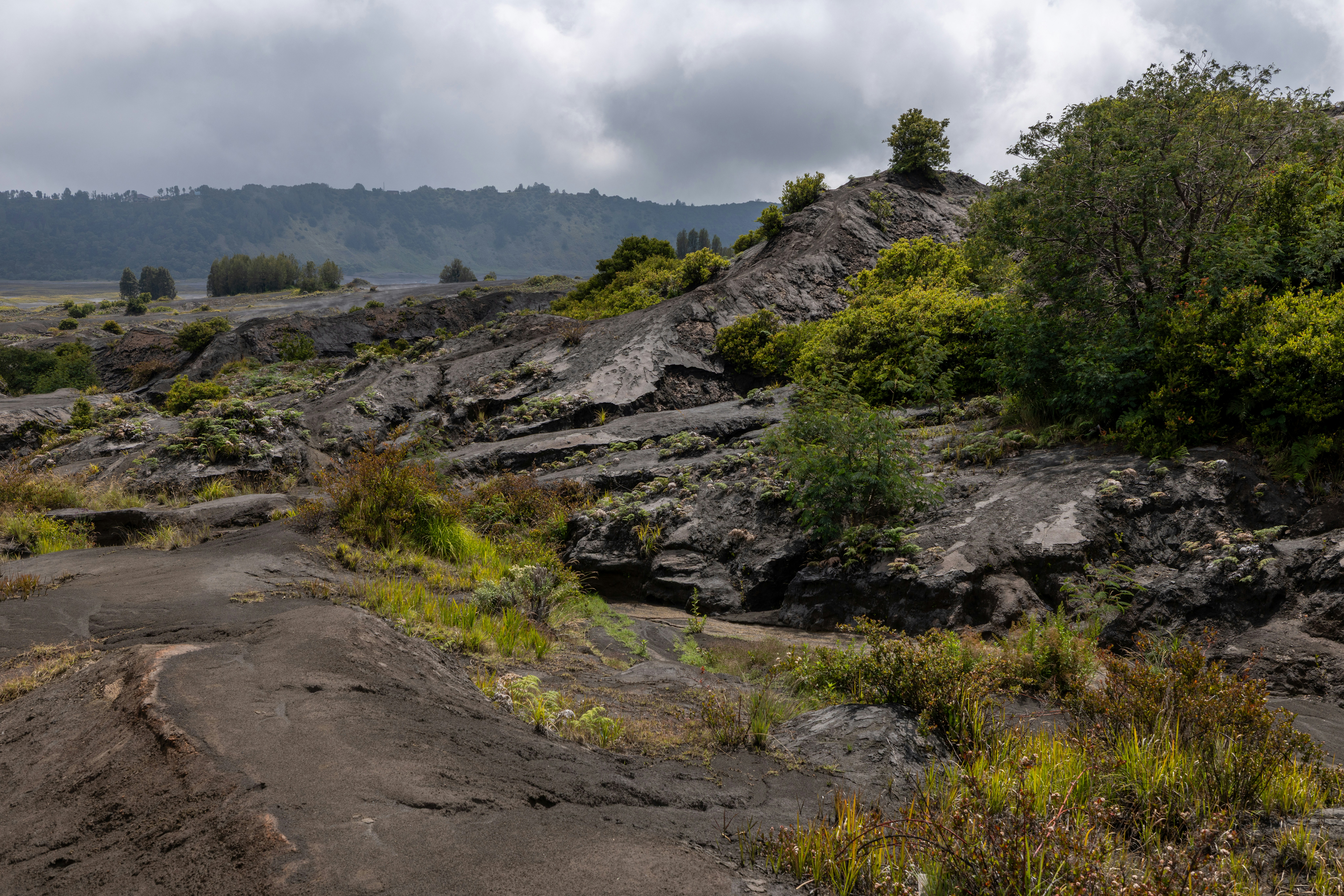 Rocky volcanic landscape with green vegetation under a cloudy sky.