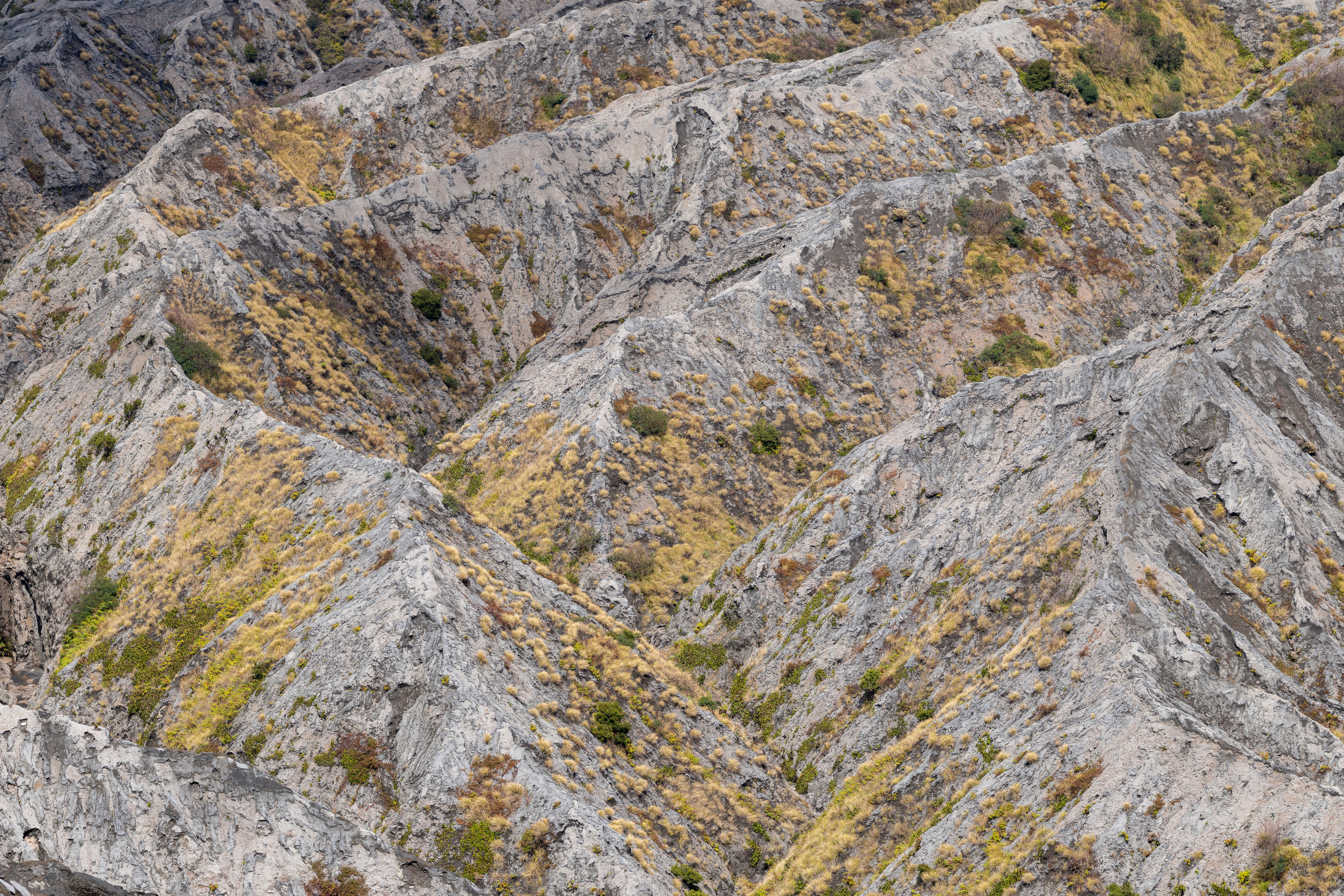 Eroded grey hills with sparse yellow-green vegetation.