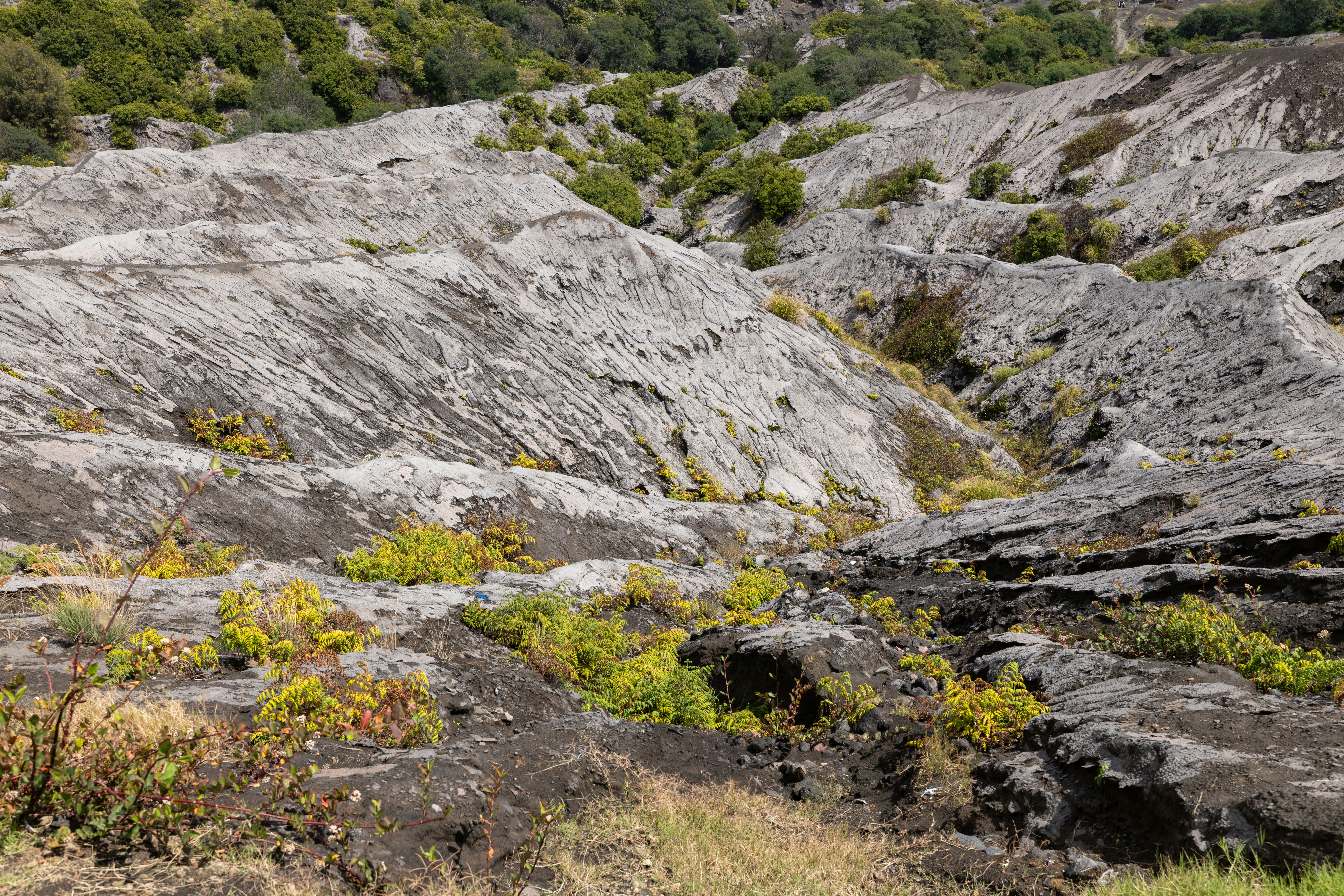 Barren volcanic landscape with rocky terrain and sparse green vegetation.