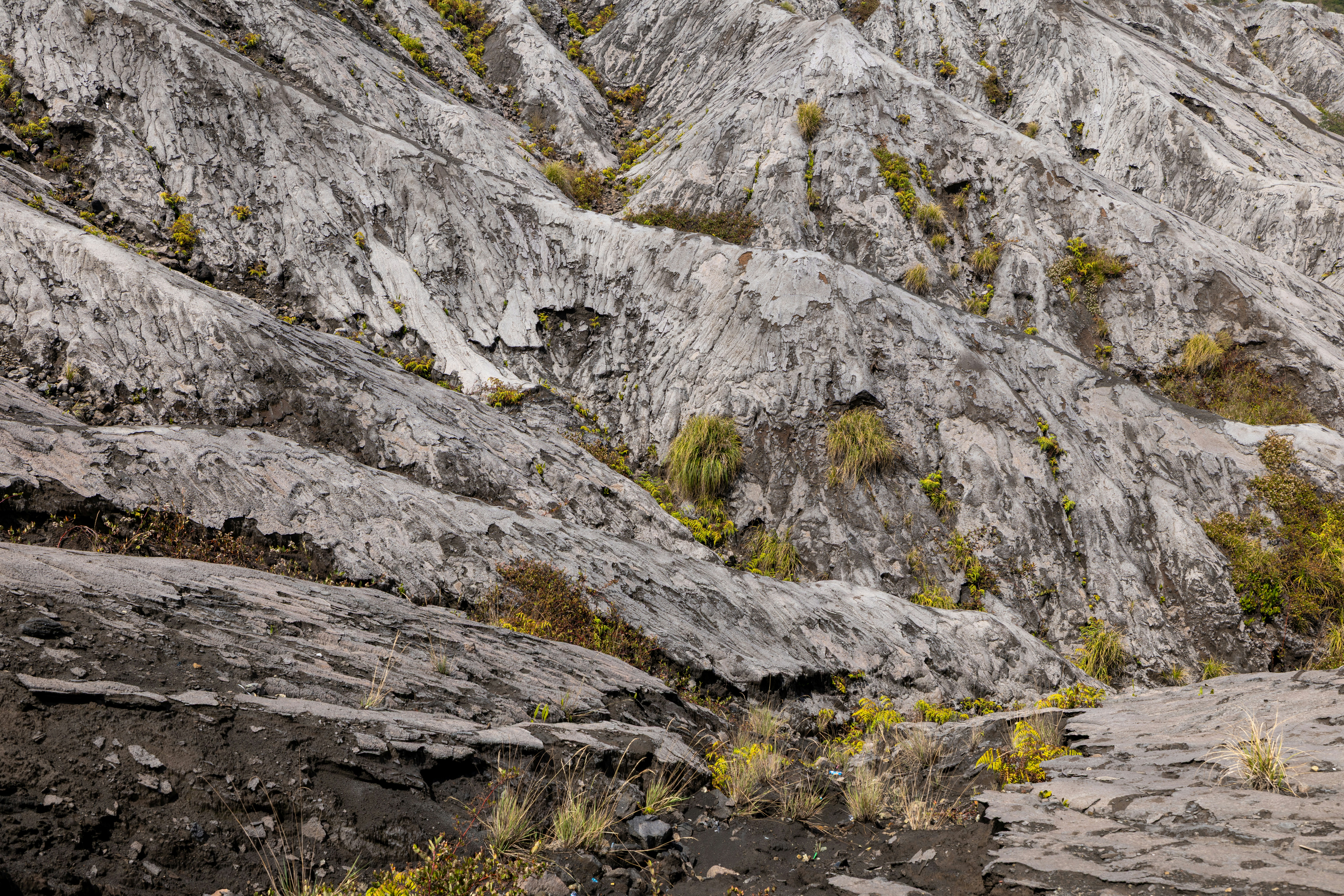 Rugged gray rock formations with sparse green vegetation.
