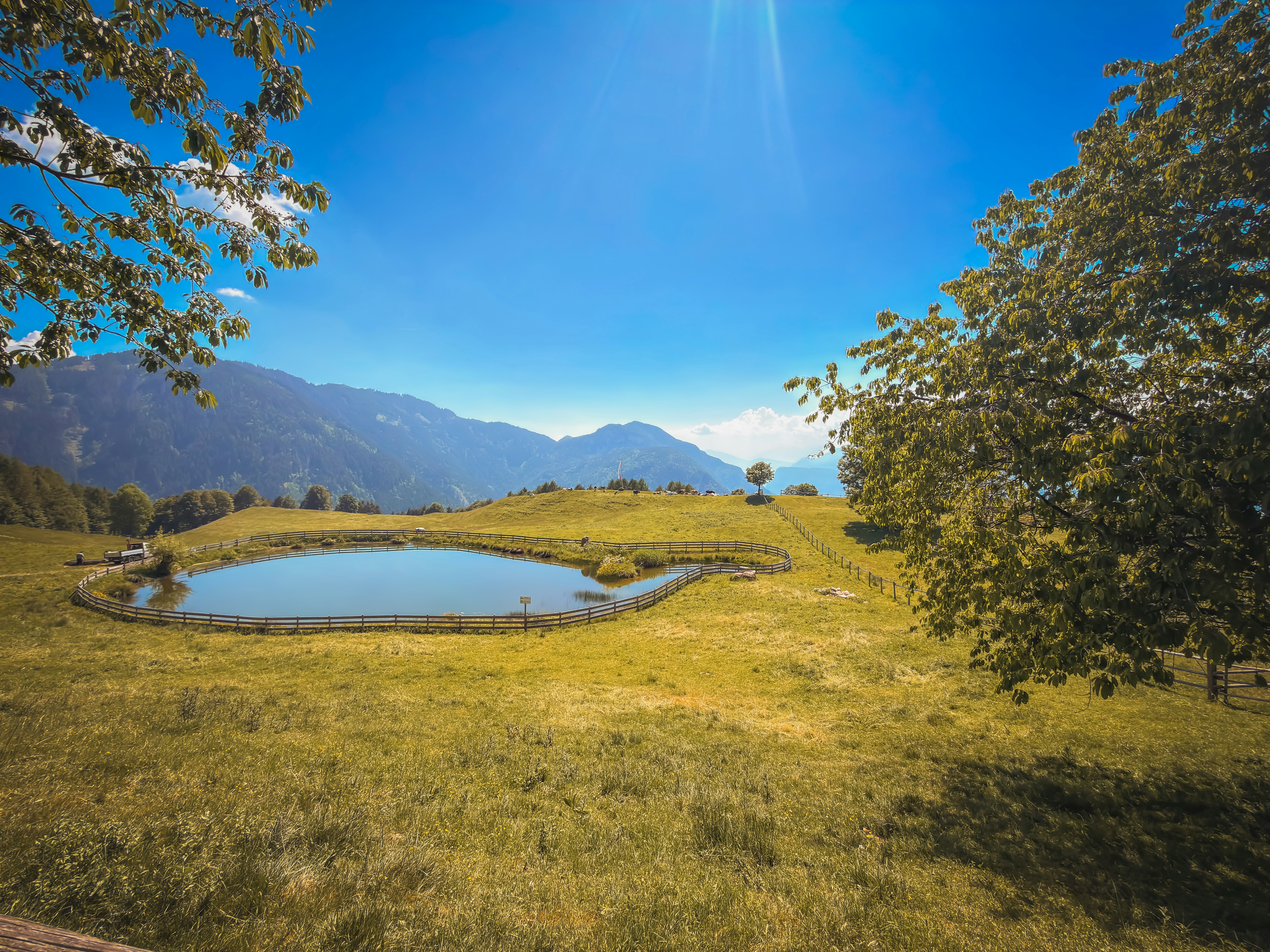 A serene pond in a grassy field with distant mountains.