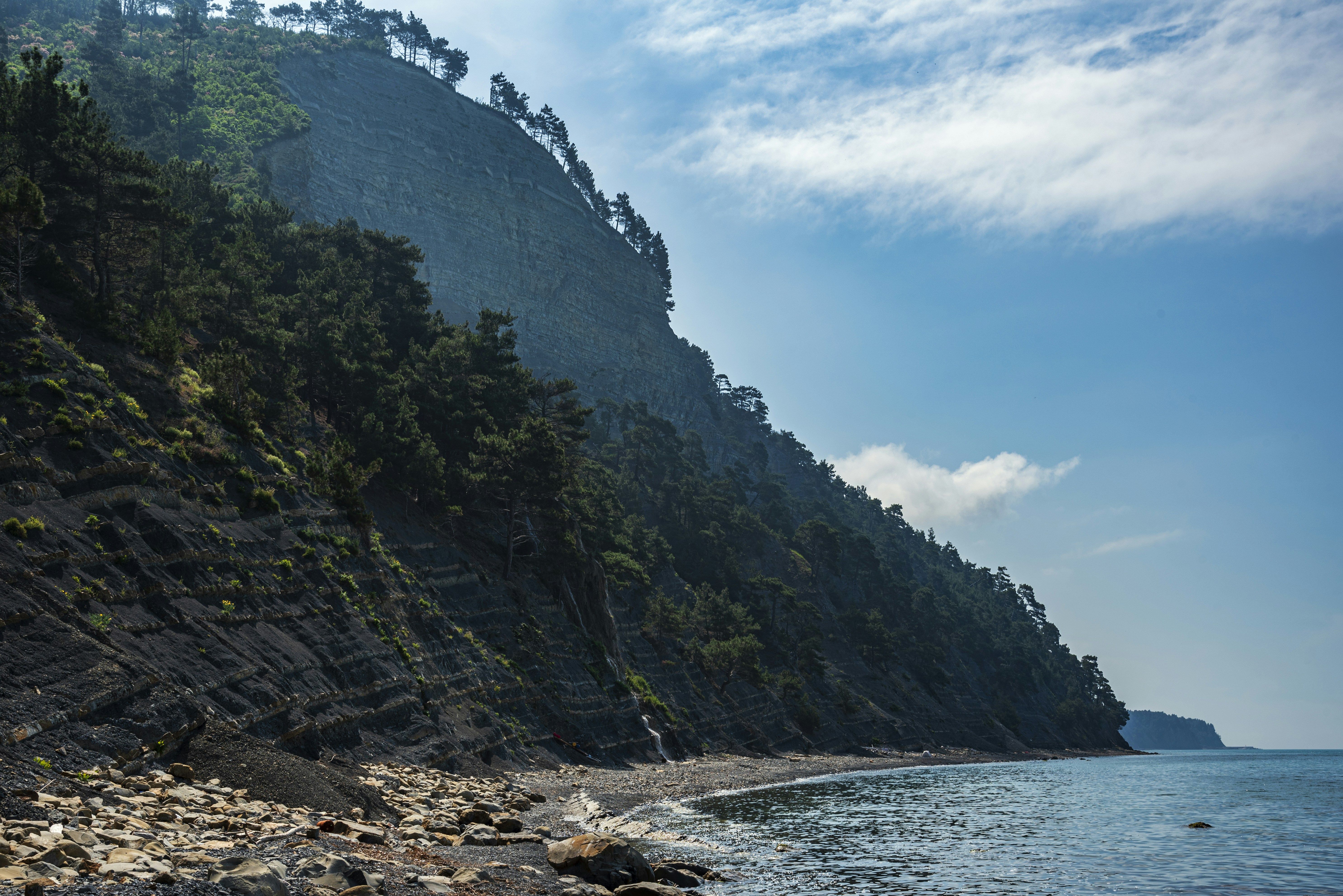 Forested cliff dropping to a rocky beach and blue ocean.