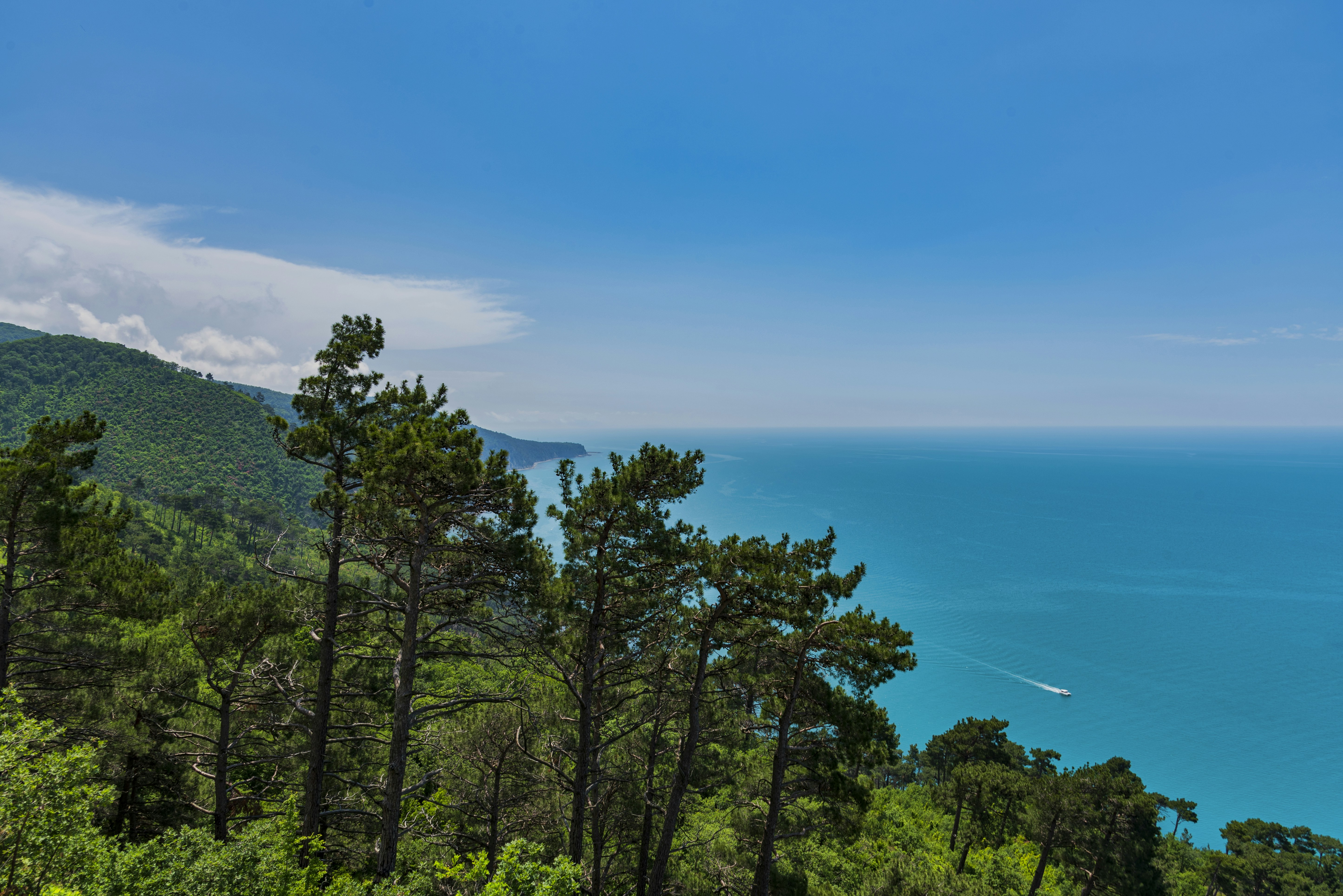 Lush forest meets bright blue sea with a boat.