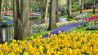 Vibrant spring garden with colorful tulips, trees, and a stream