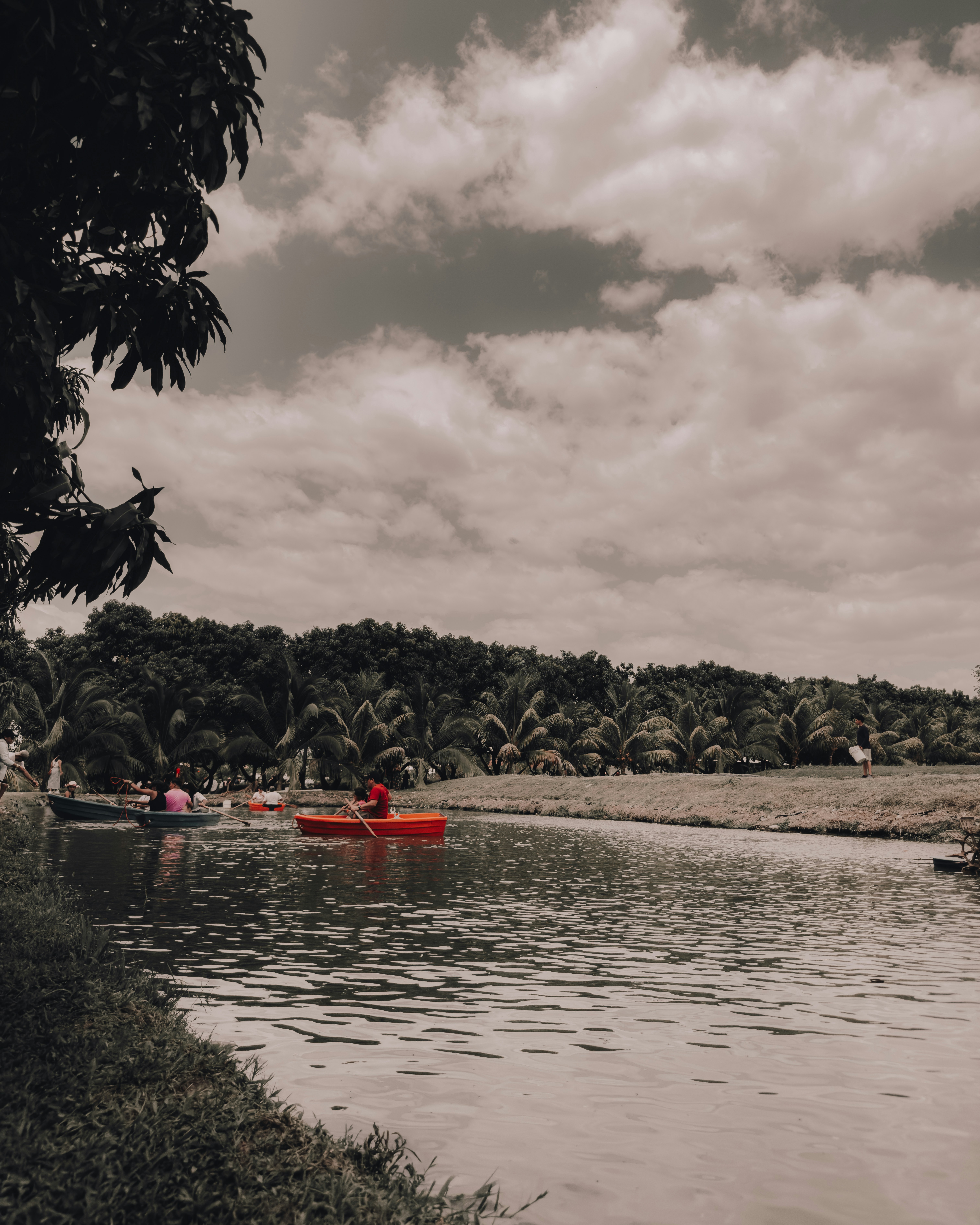 A red kayak glides on calm water amidst green trees