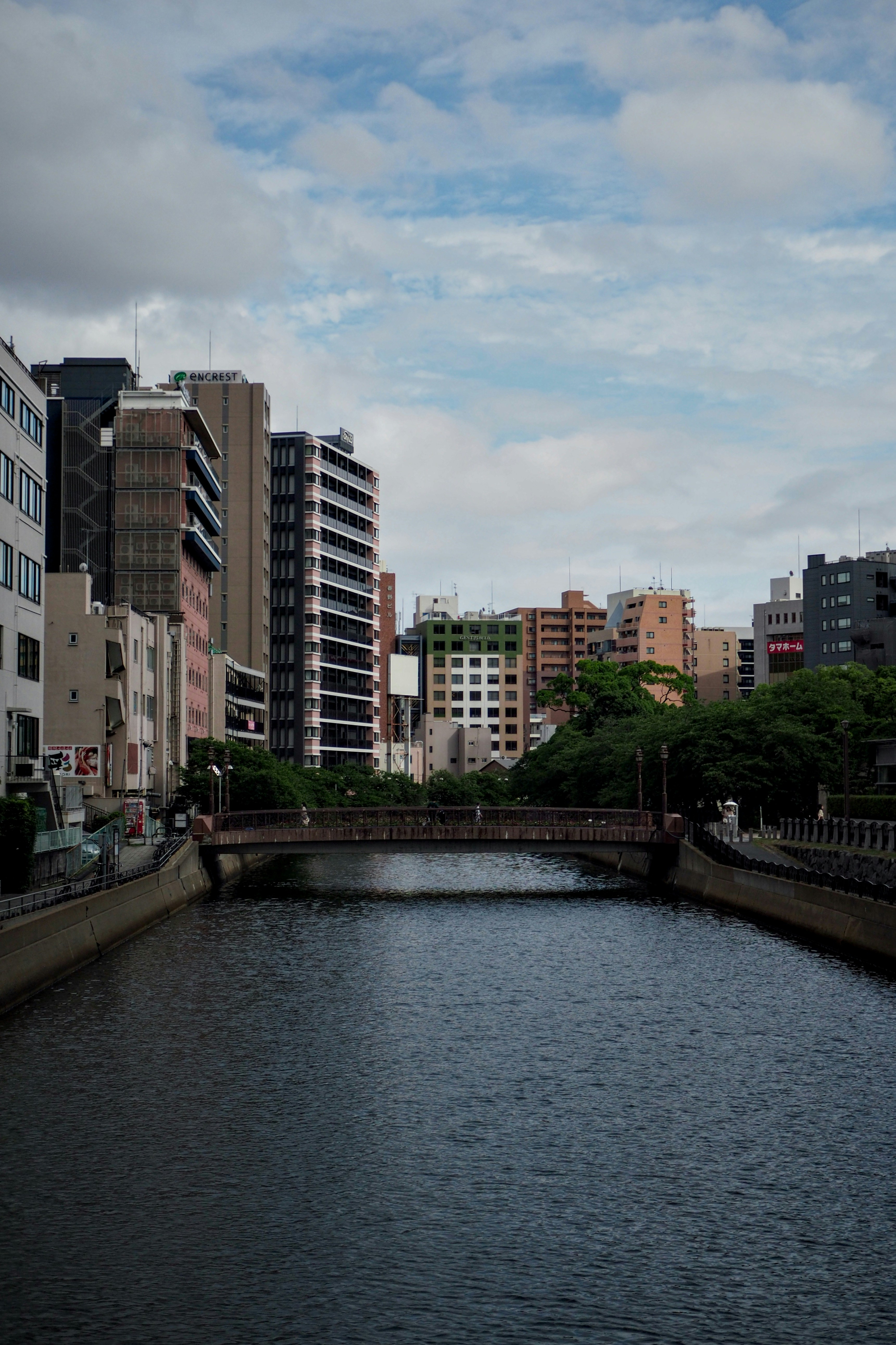 The Science and Soul of Tonkotsu: What Makes It Different