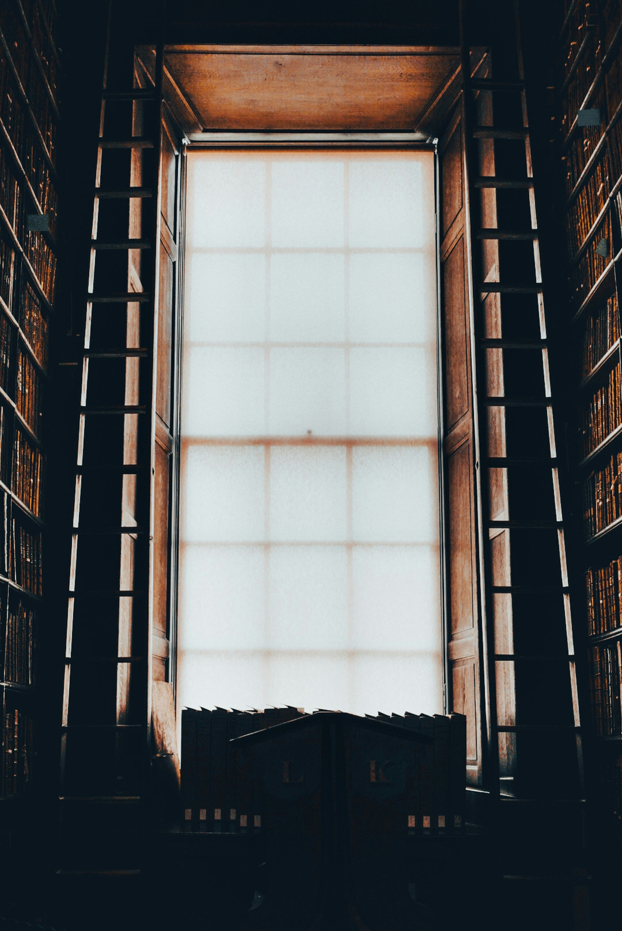 Photo by Jameson Berrios on unsplash