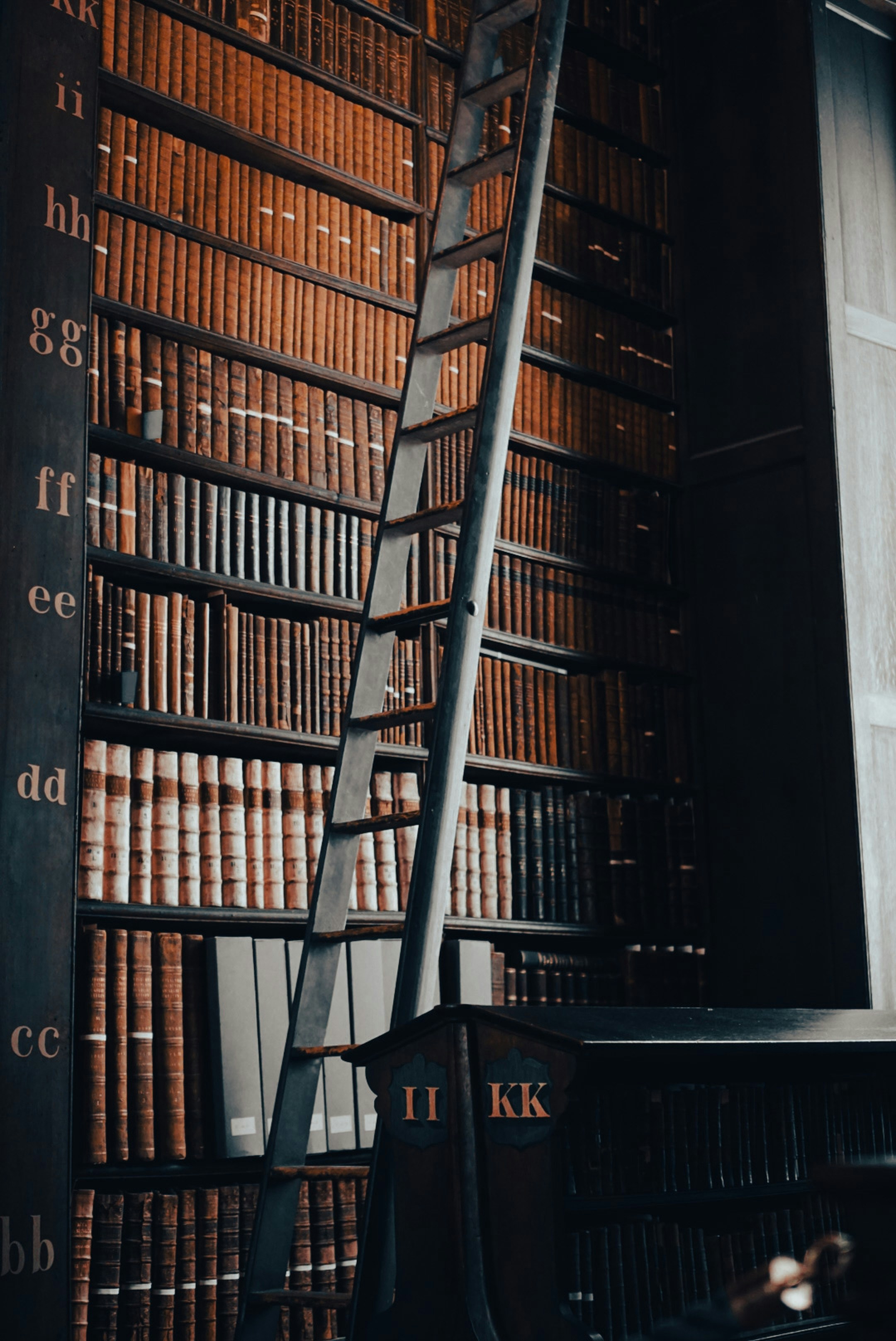 Photo by Jameson Berrios on unsplash