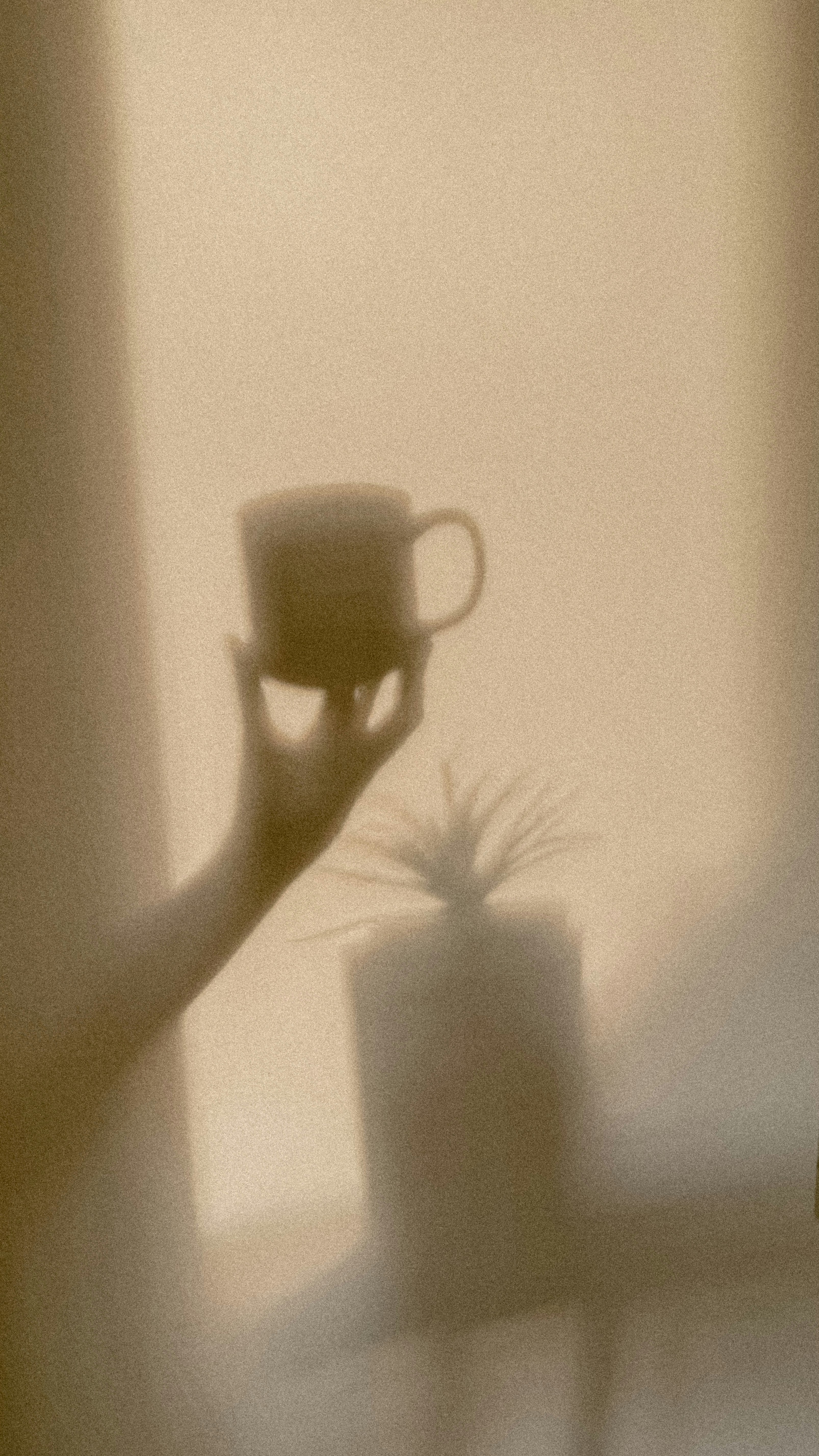 Warm shadows of a hand, mug, and potted plant.