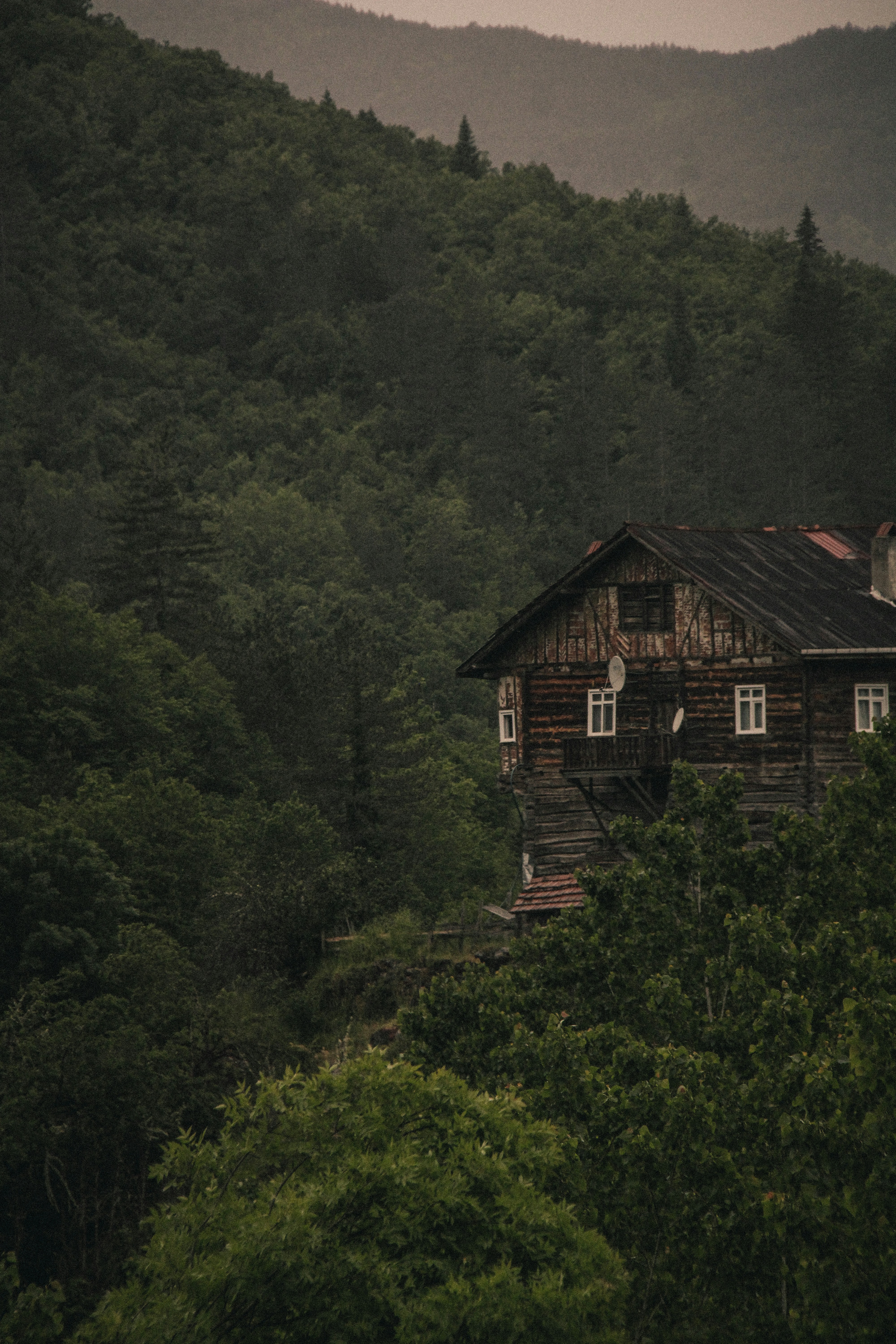 Rustic wooden house nestled within a dark, moody forest.