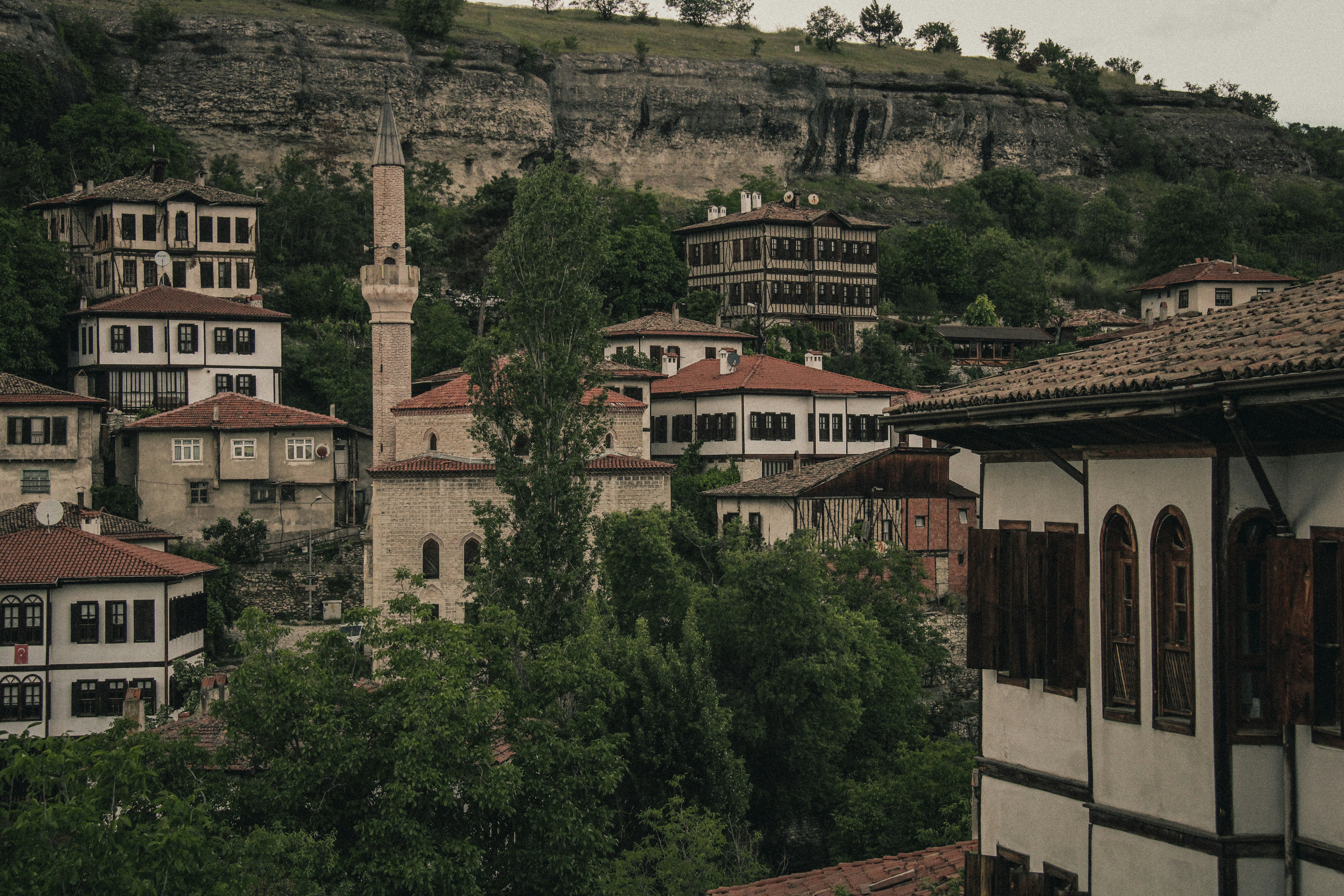 Historic ottoman houses and mosque on a green hillside.