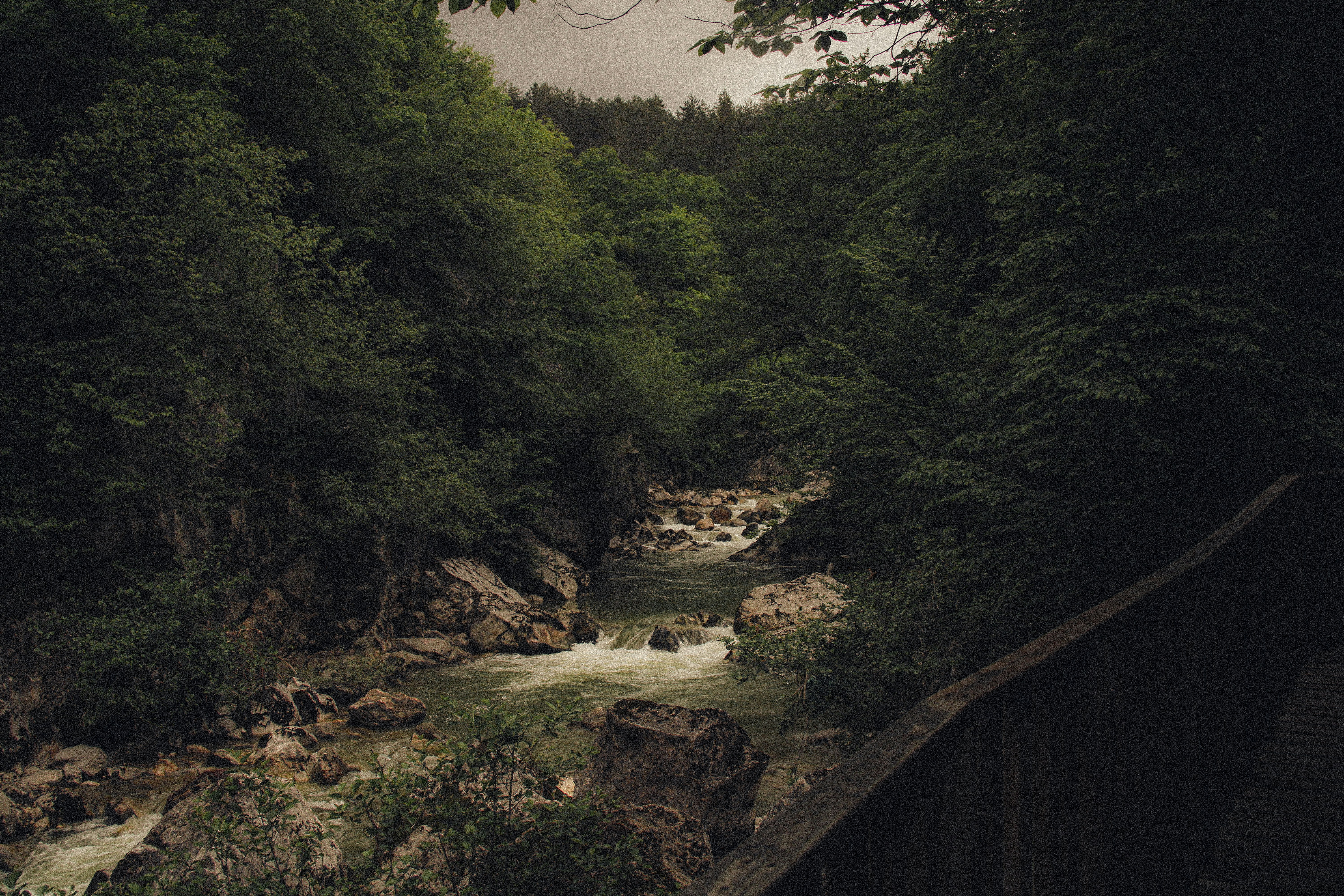 A river flows through a dark, rocky forest.