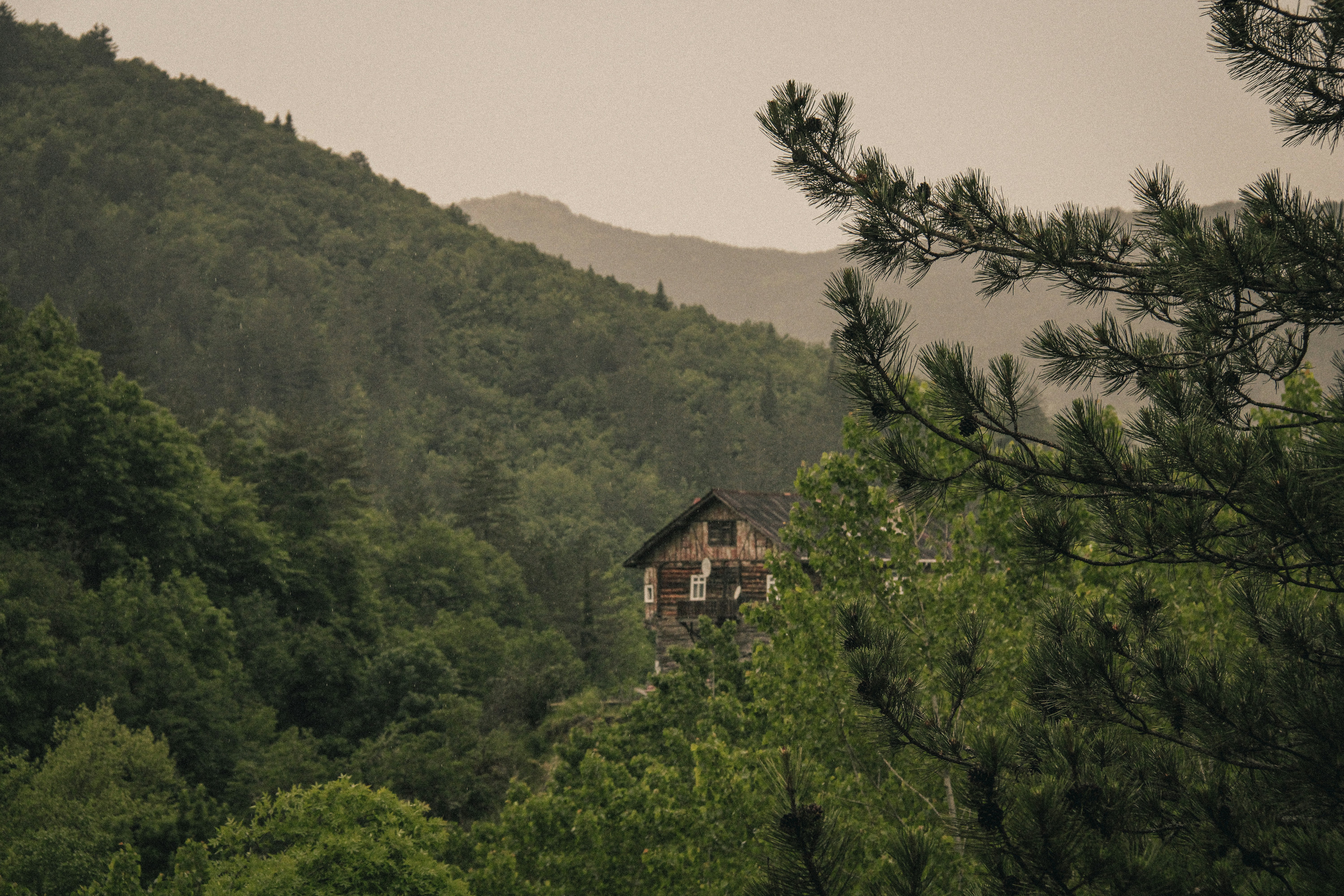 House nestled in dense green forest on a misty hillside.