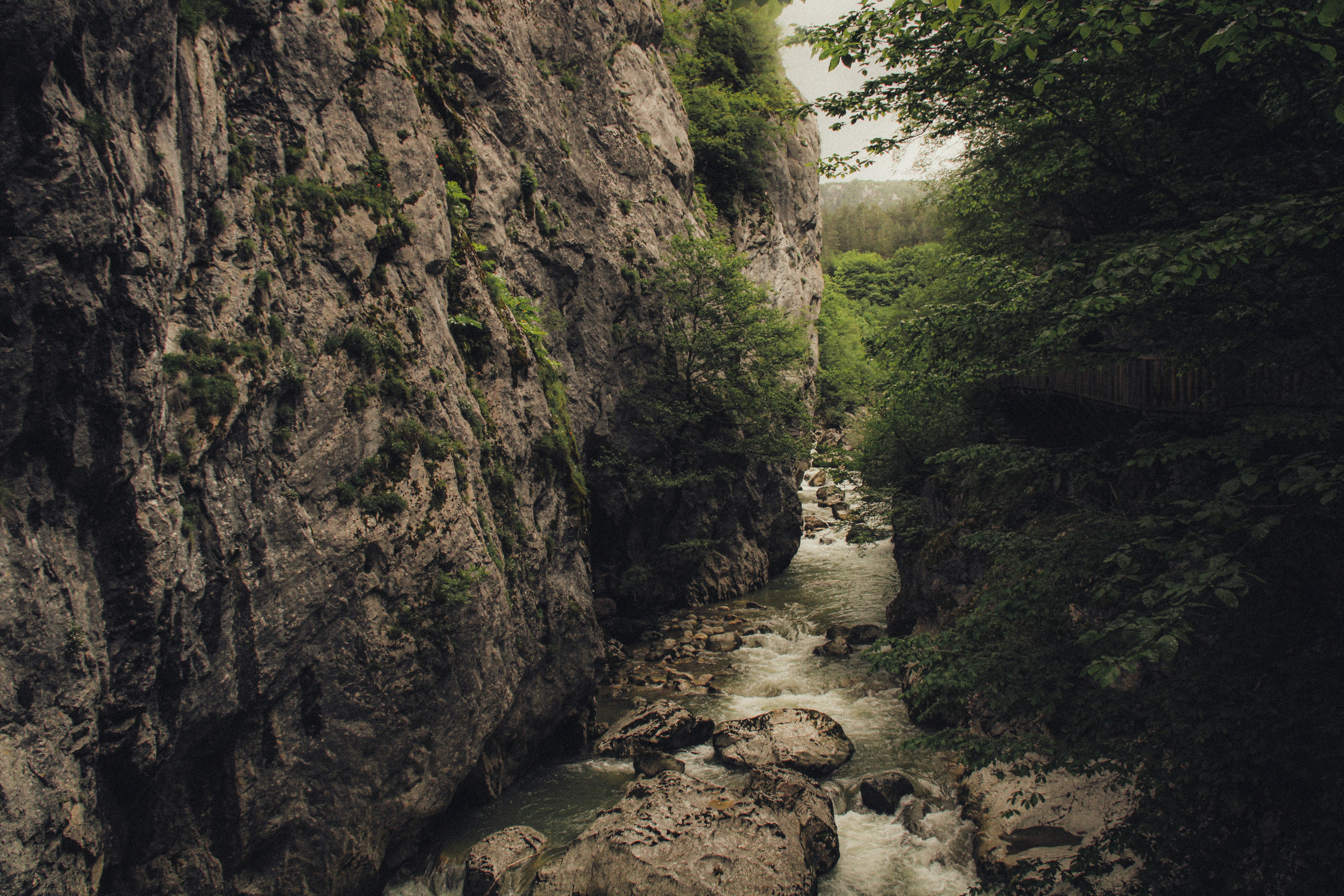A river flows through a rocky gorge with green trees.