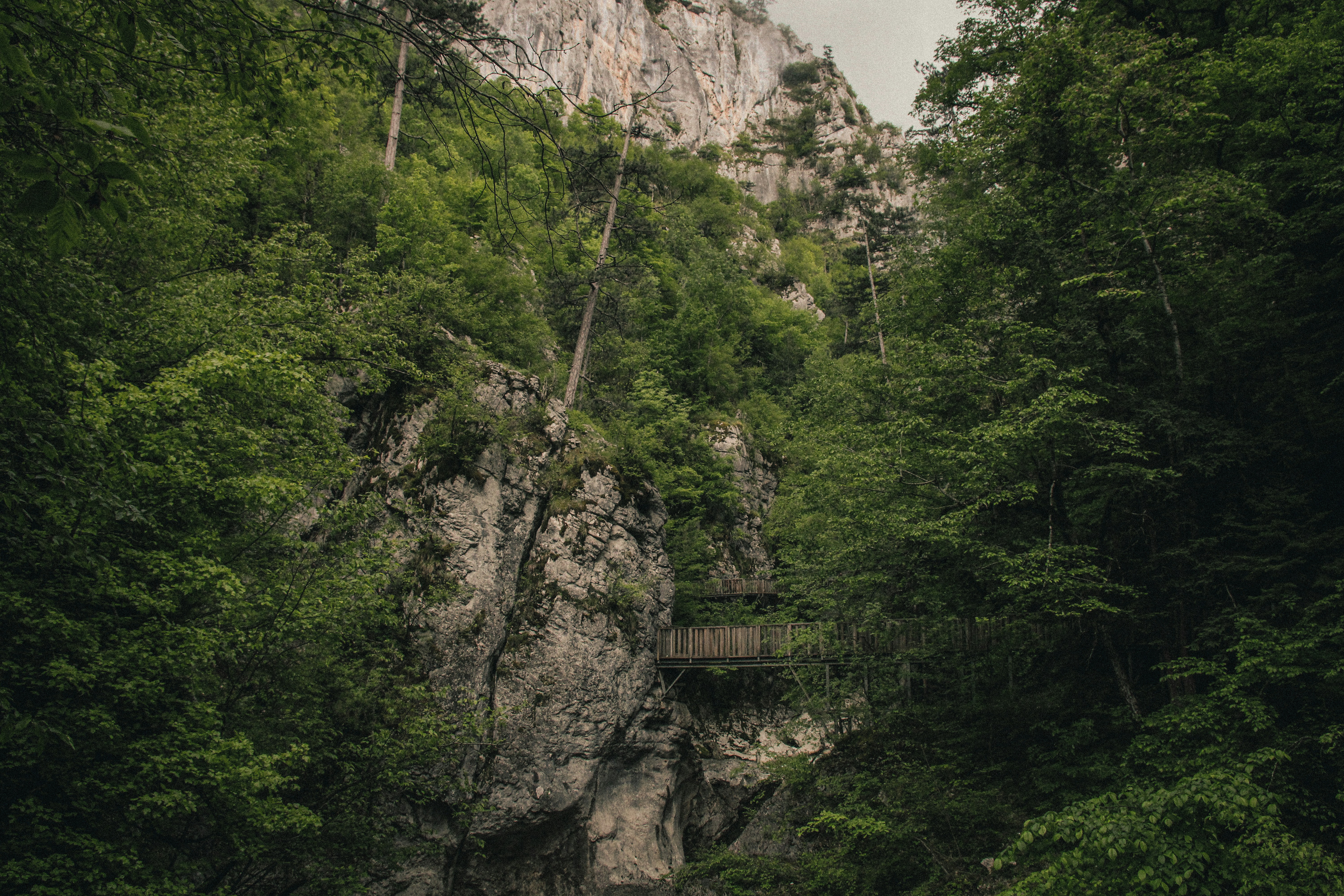 A steep, green-covered cliff with a wooden walkway.