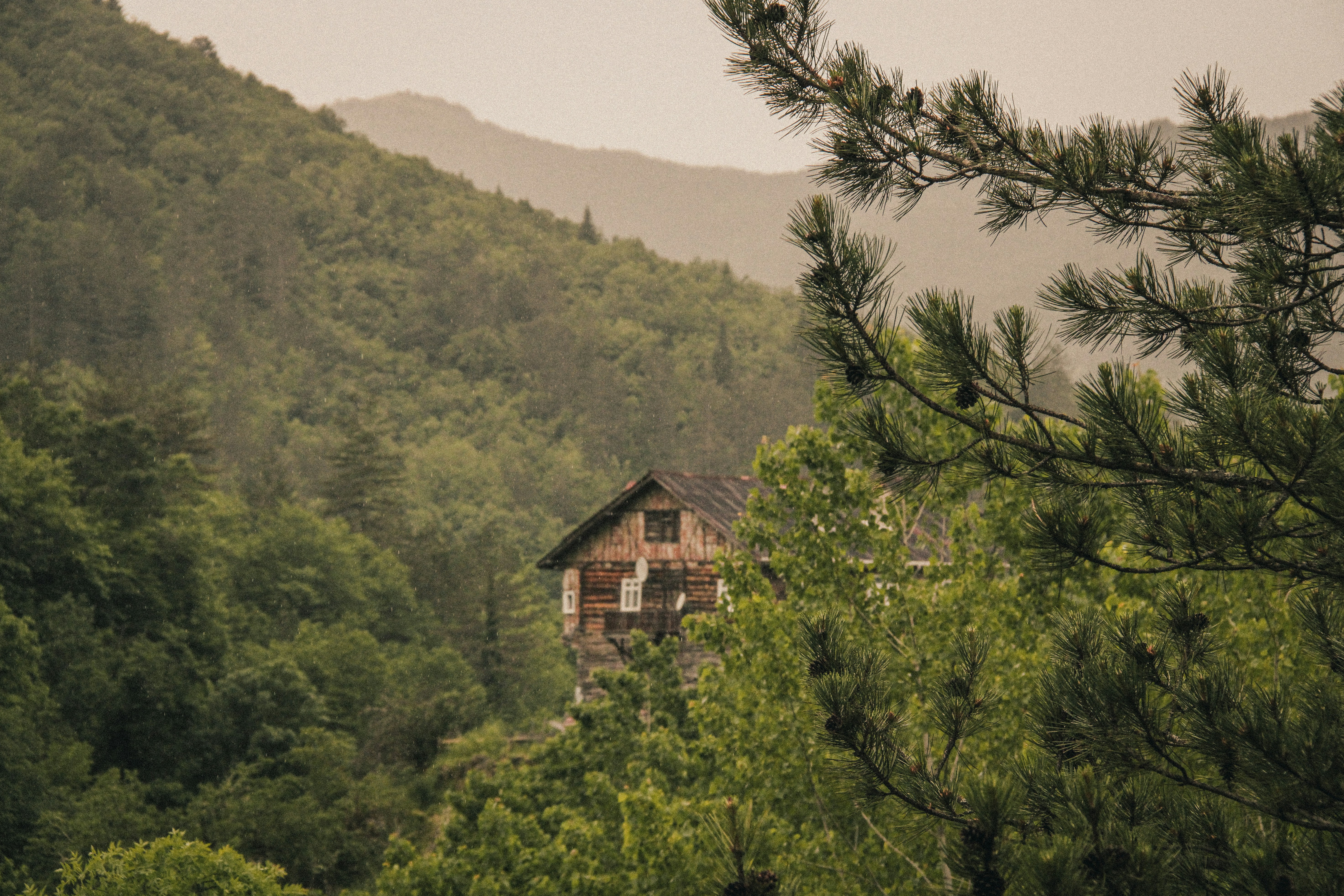 A rustic house nestled among green trees and distant mountains.