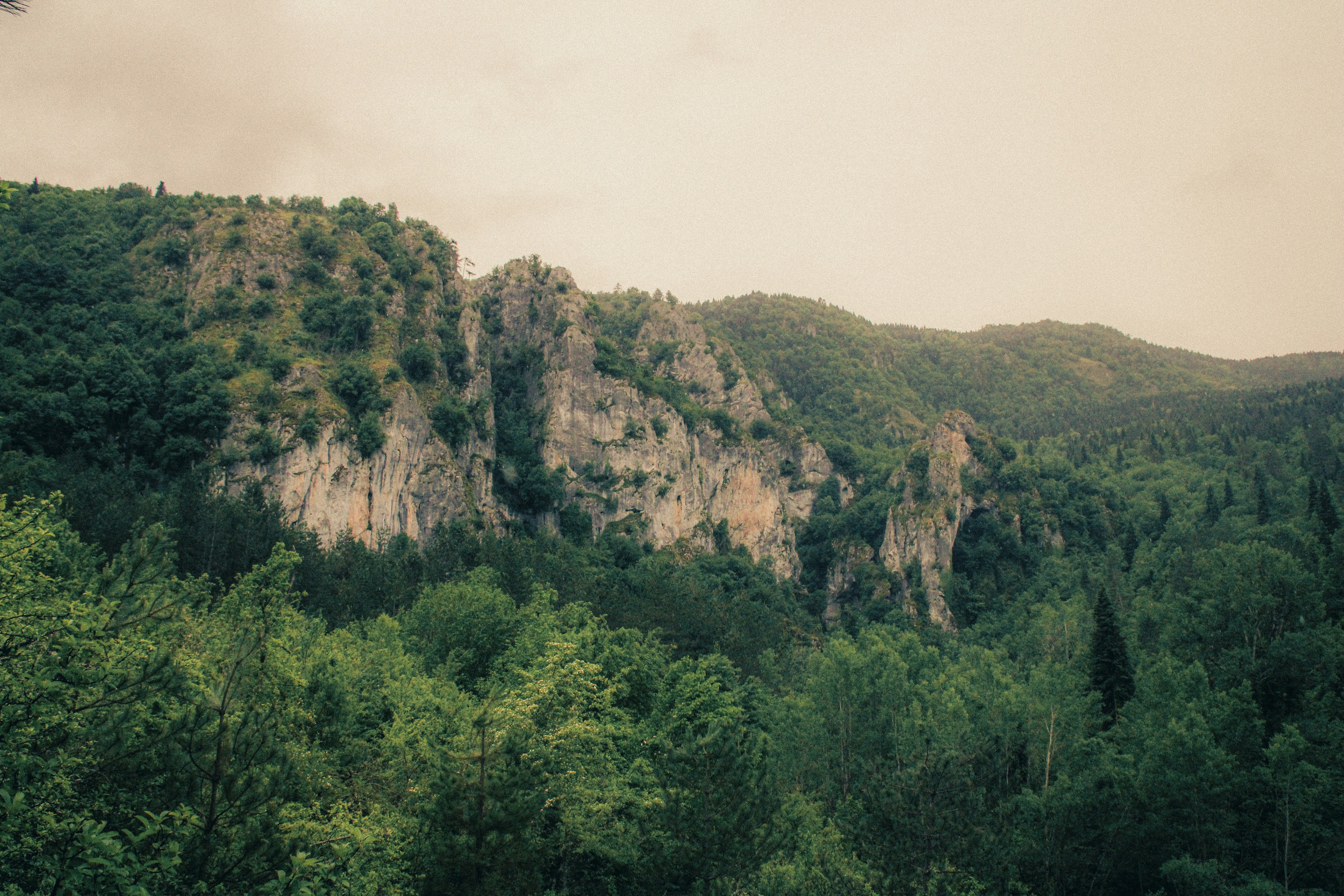 Forest-covered mountains with rocky cliffs under a cloudy sky.