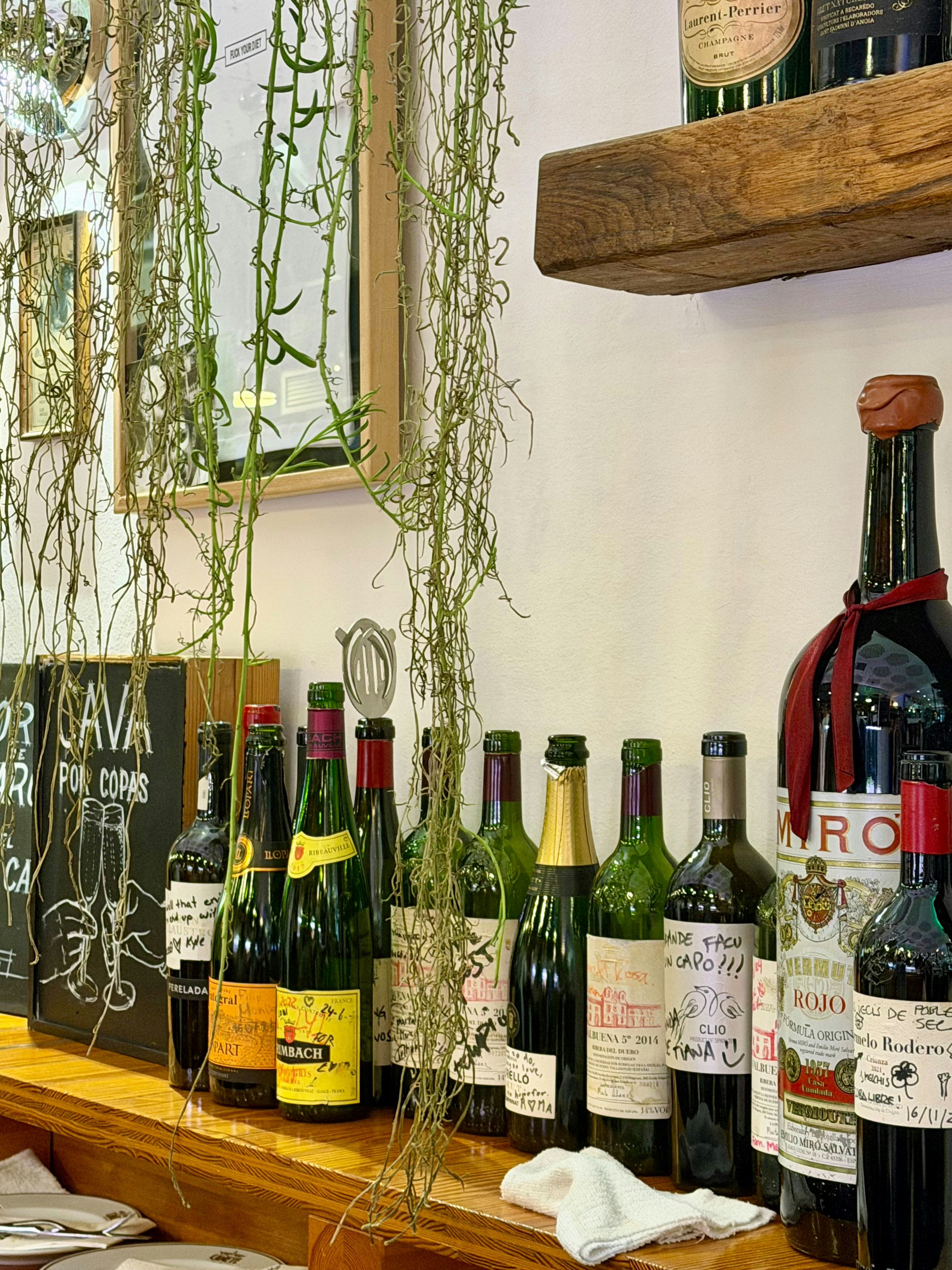 Wine bottles and hanging vines on a rustic wooden counter.