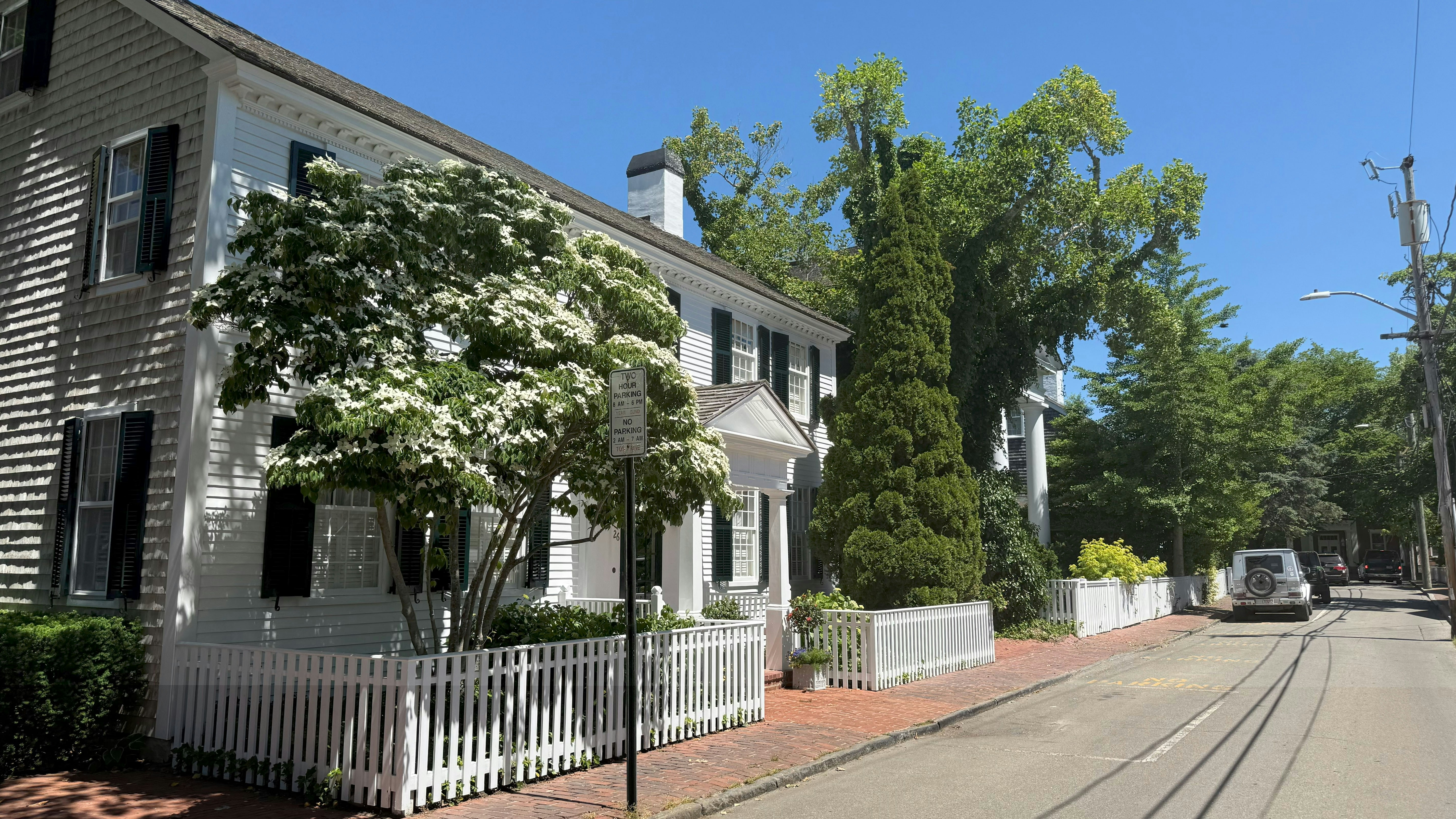 White house, blooming tree, picket fence on a sunny street.