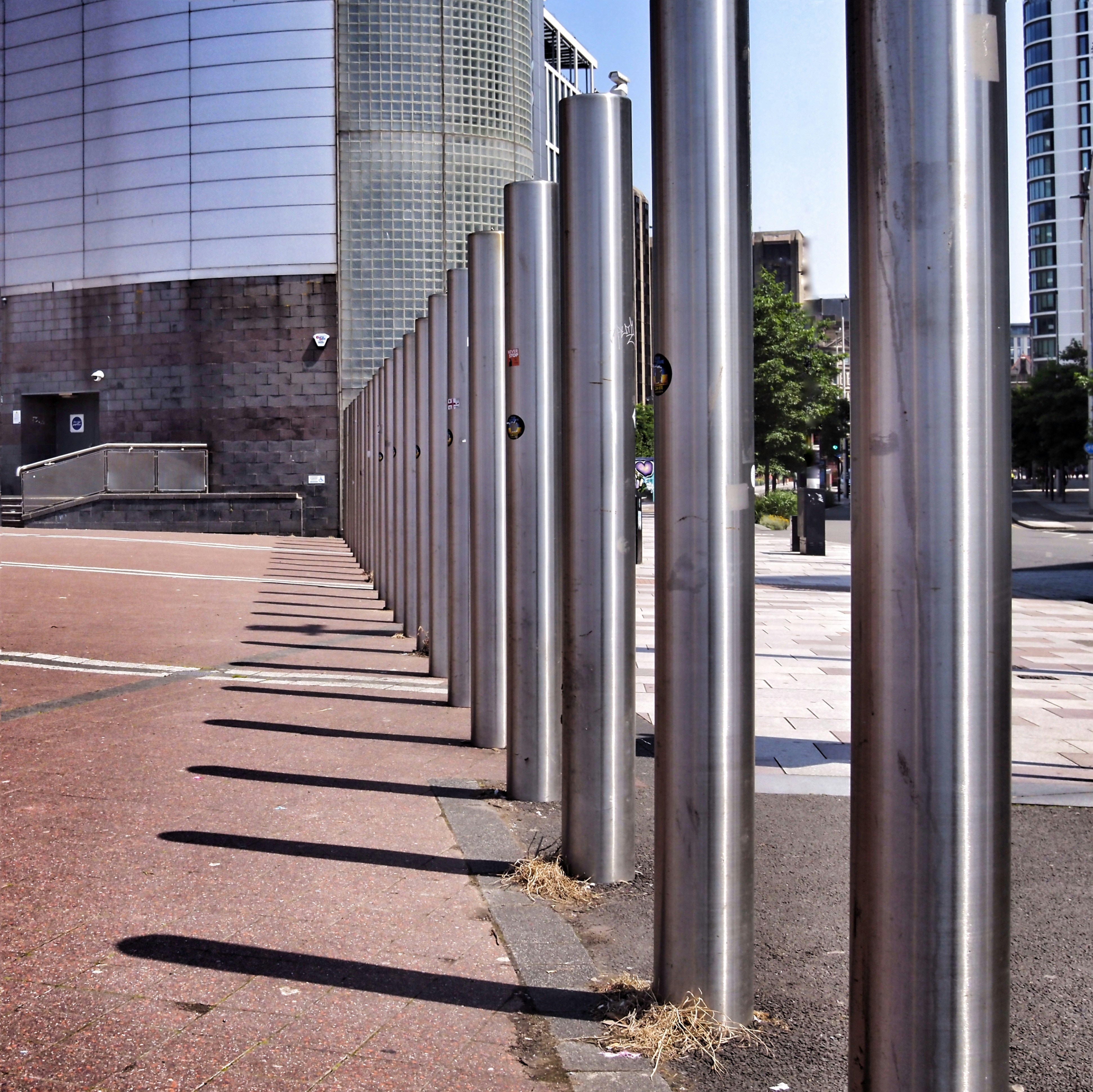 A row of metal bollards casting long shadows on pavement.