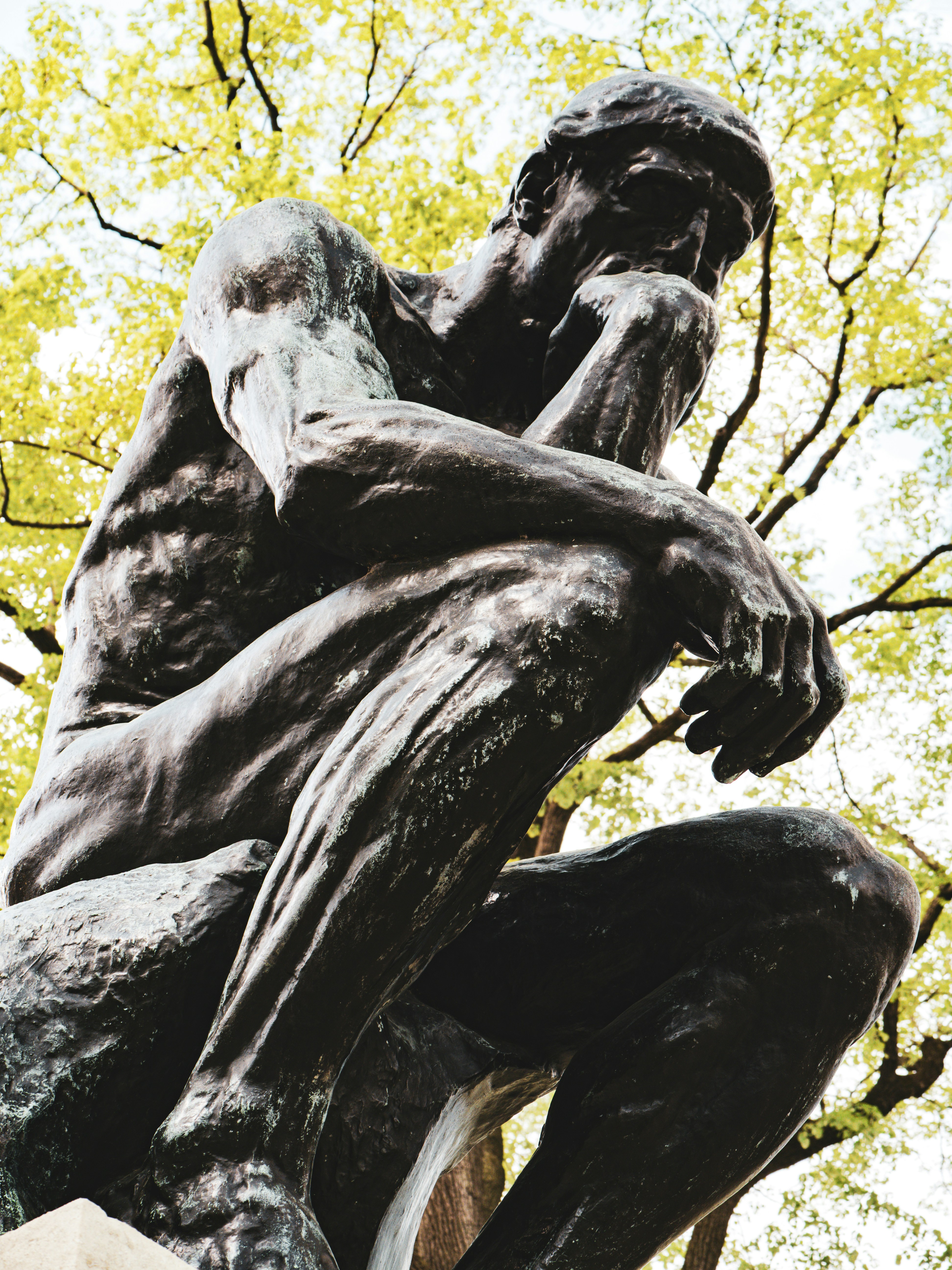 Una estatua de bronce del pensador sobre follaje verde.