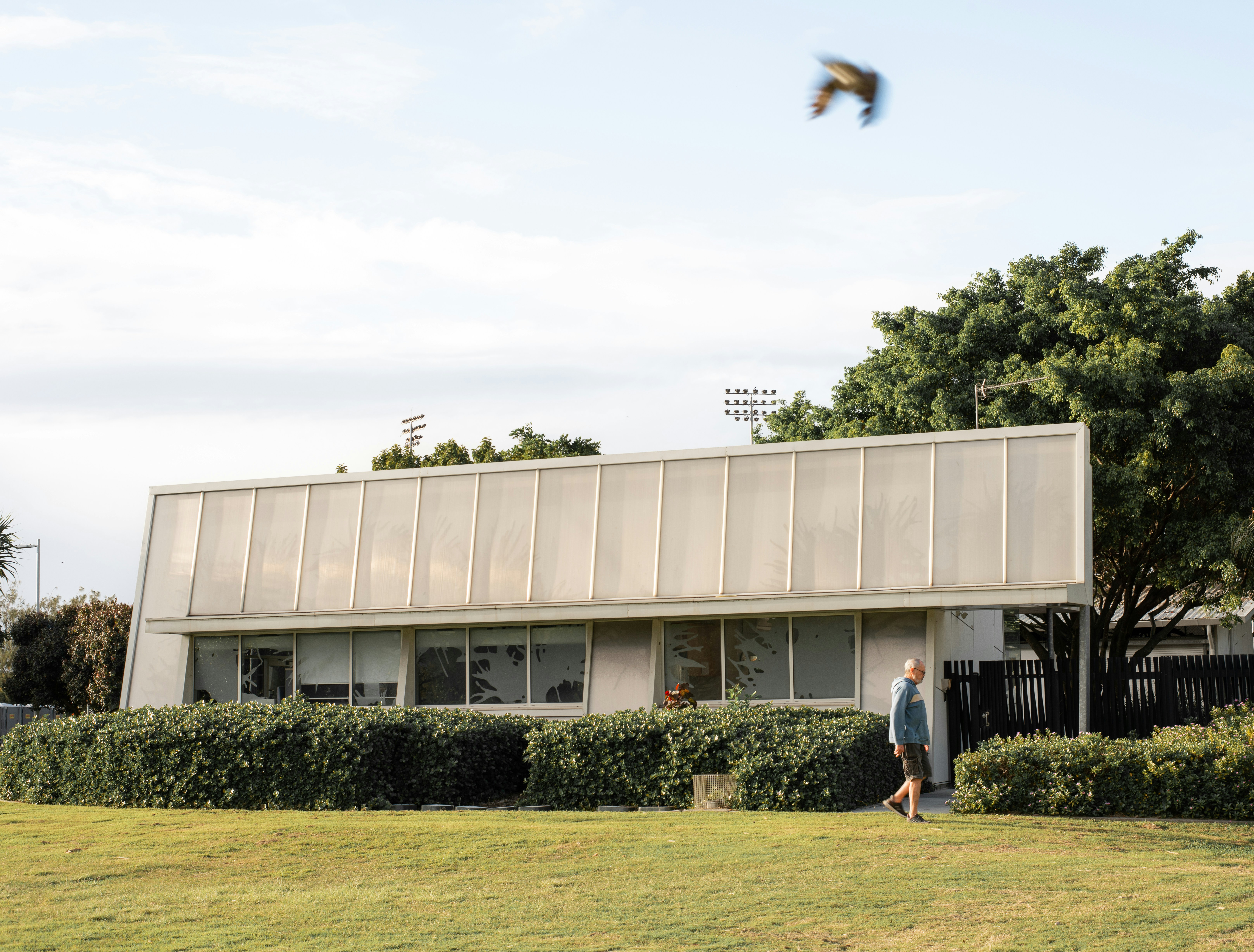 Helensvale Library