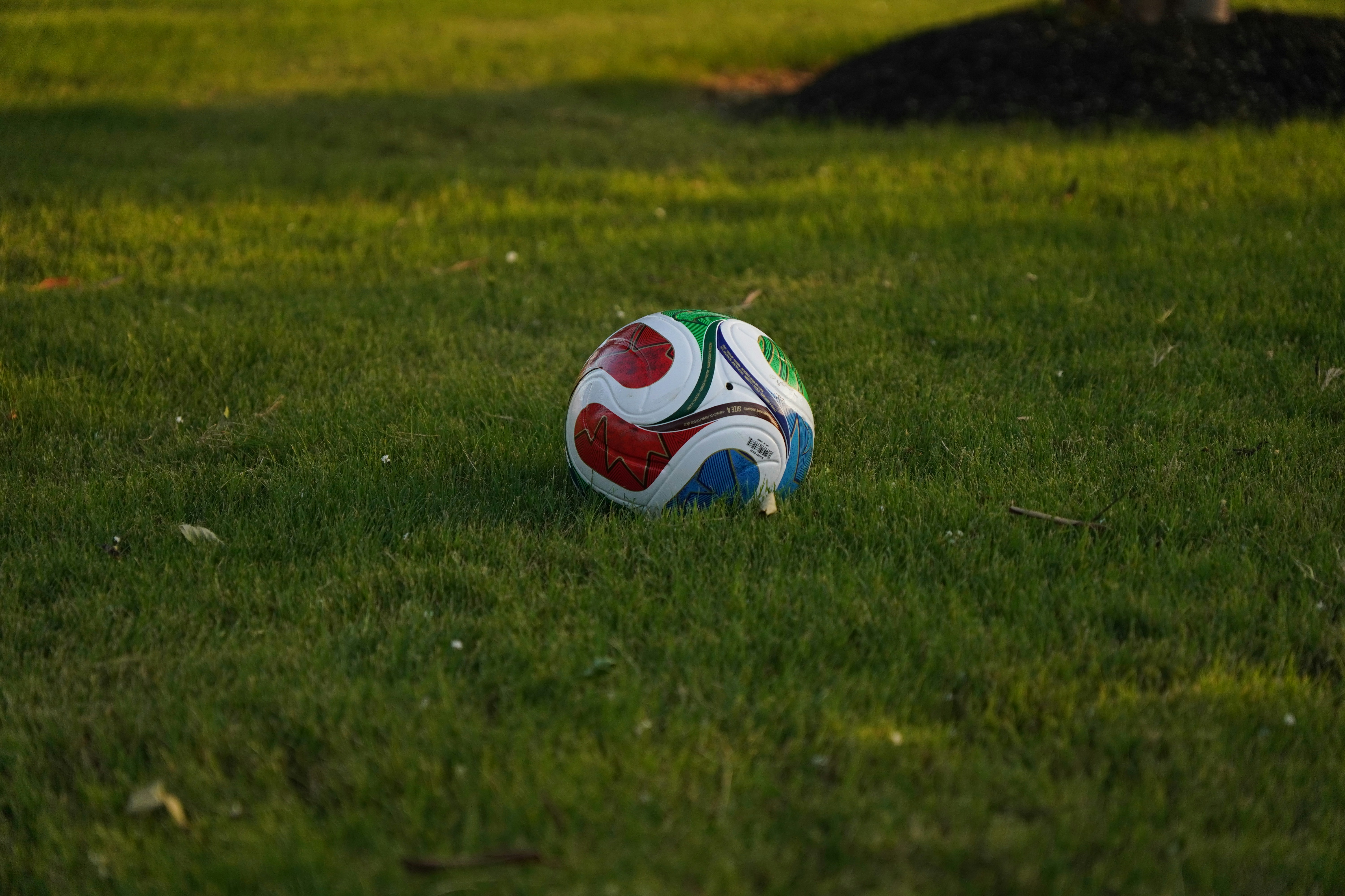 A colorful soccer ball rests on green grass.