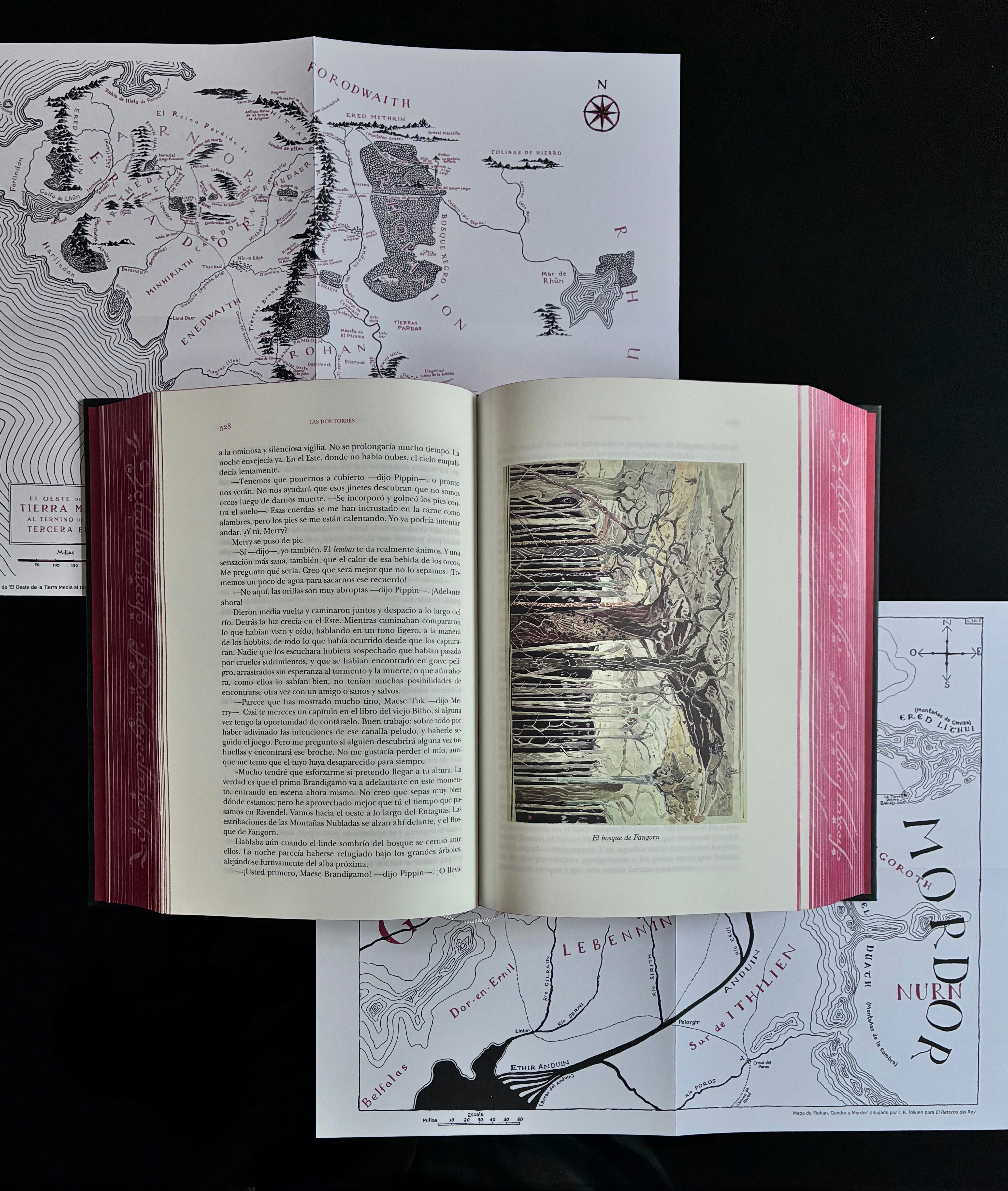 Novela de fantasía que comienza con mapas detallados alrededor.