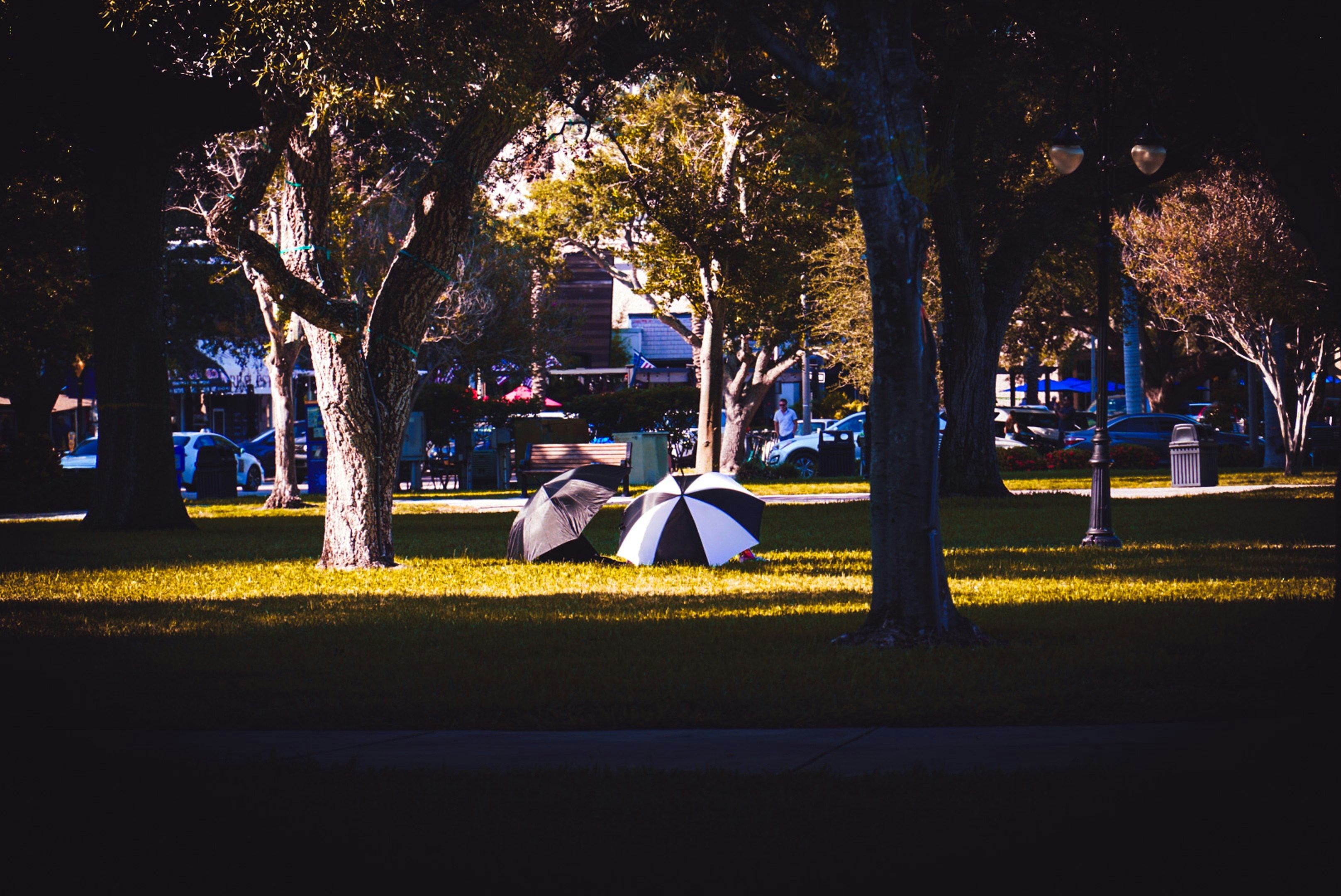 Maurice Gibb Memorial Park
