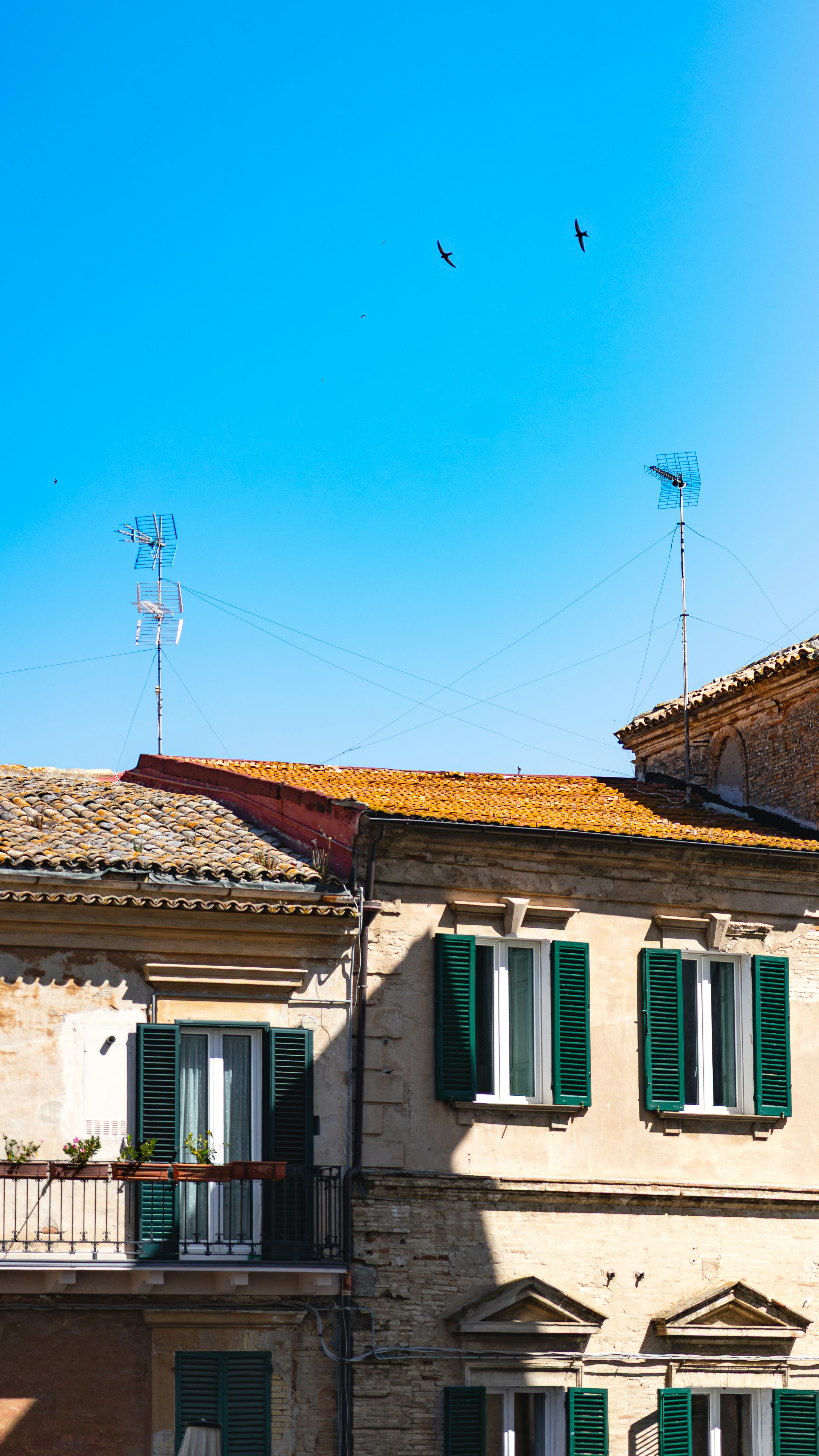 Green-shuttered buildings, tiled roofs, and birds flying in blue sky