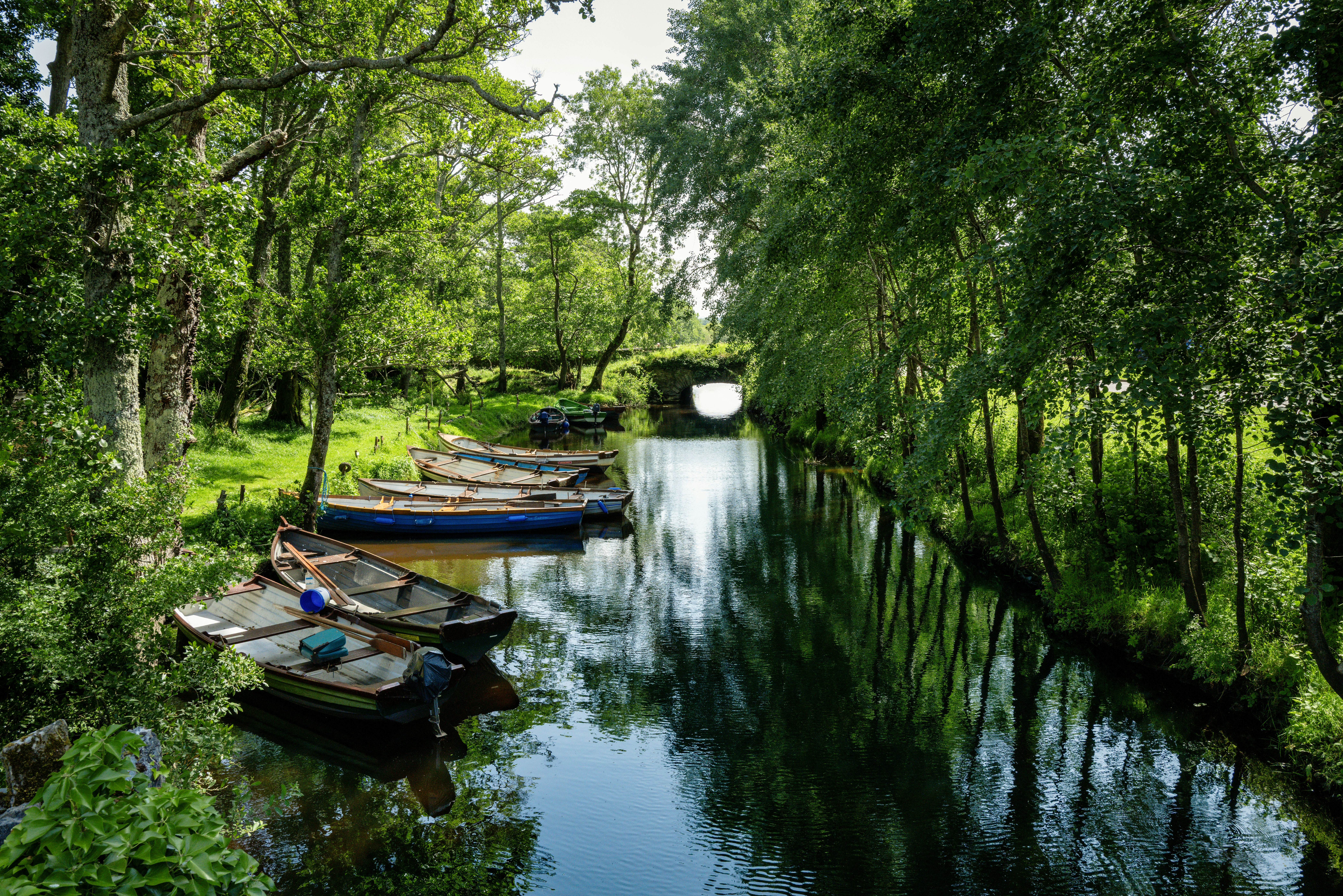 Boats docked on a tranquil canal with lush green trees.