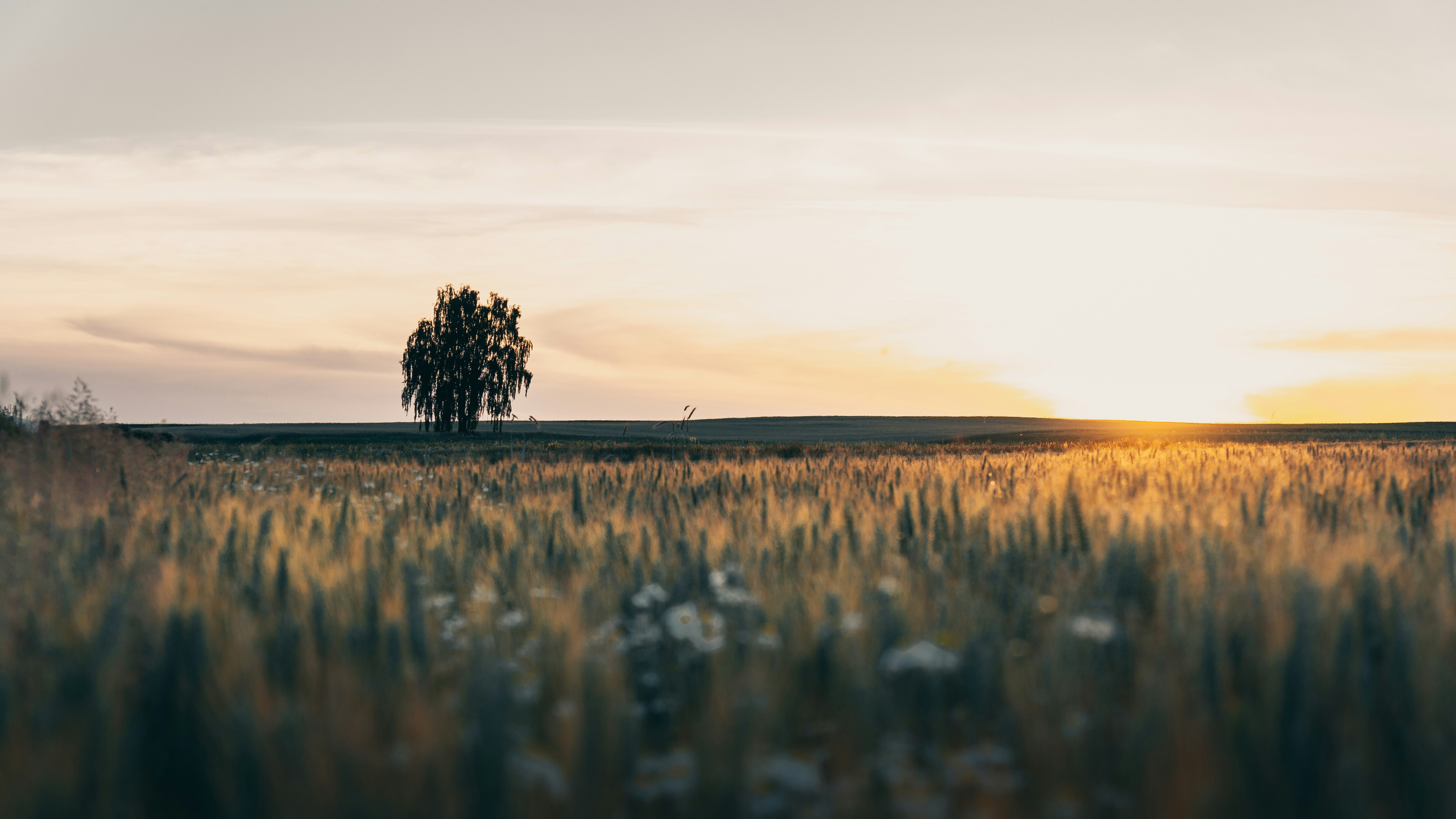 Opening Success with a Trusted Registered Representative for Your Firm