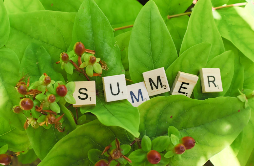 Scrabble tiles spelling summer among green leaves and red berries.