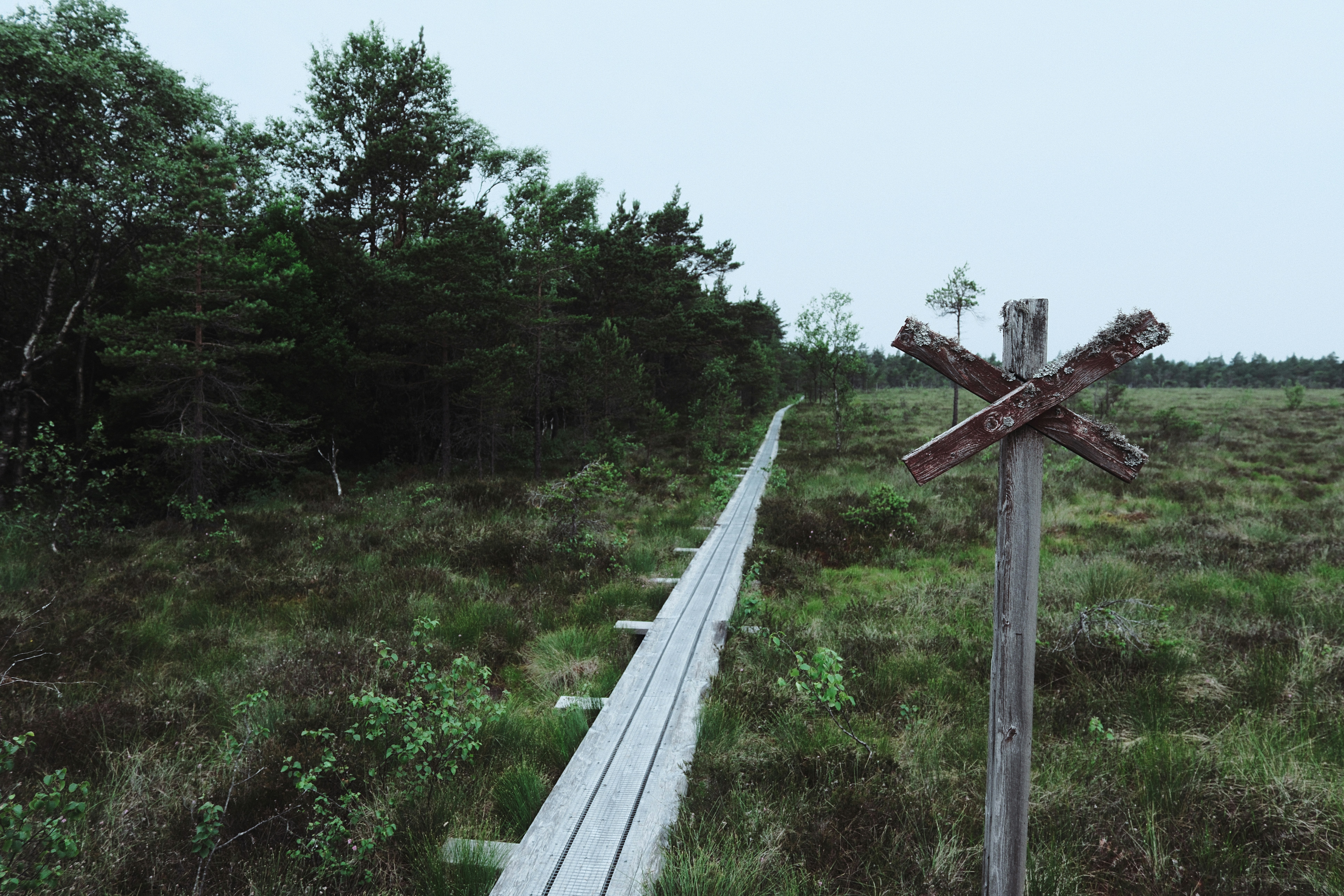 Wooden boardwalk through marshland with a rustic signpost.