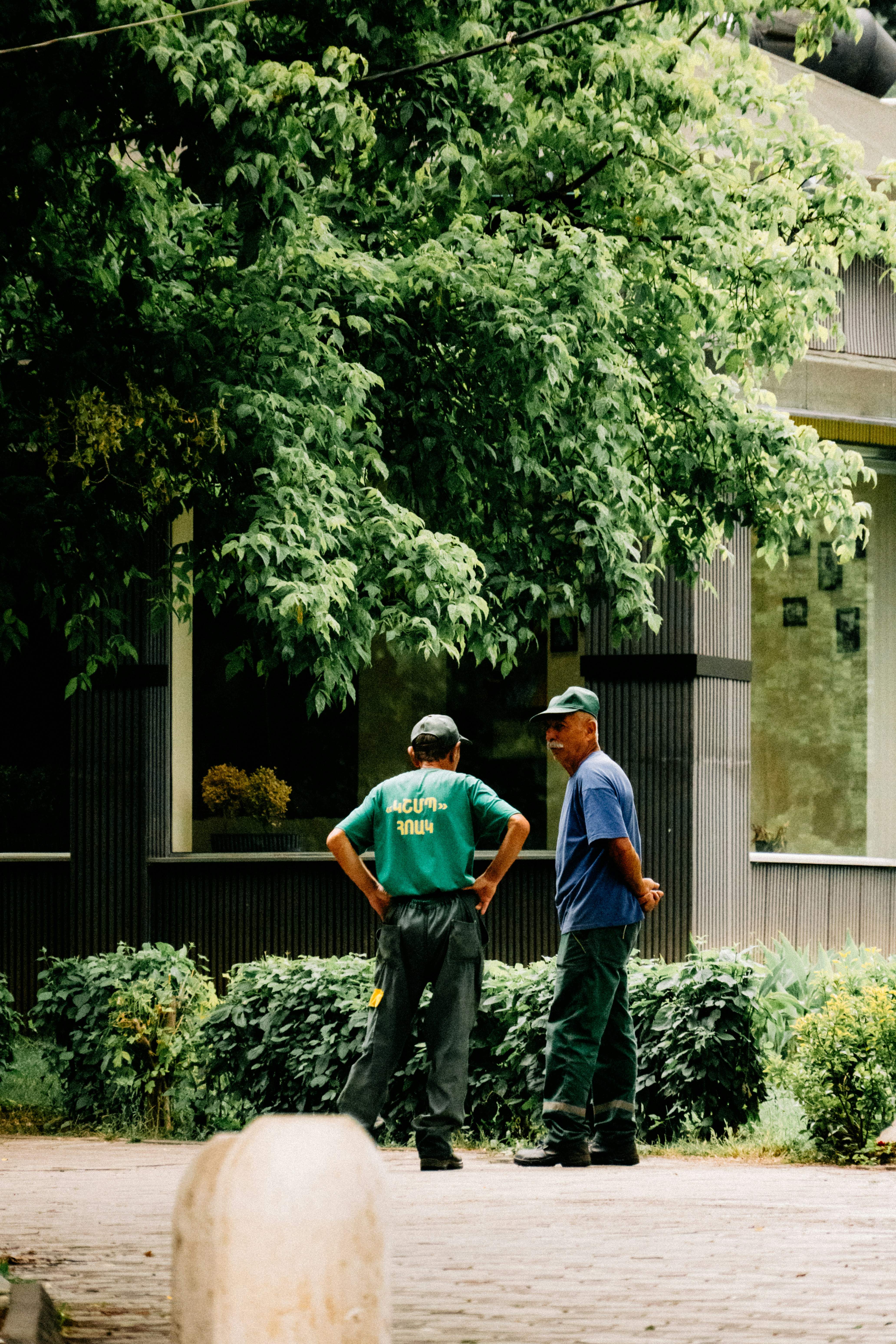 Two men conversing under green trees outside a building