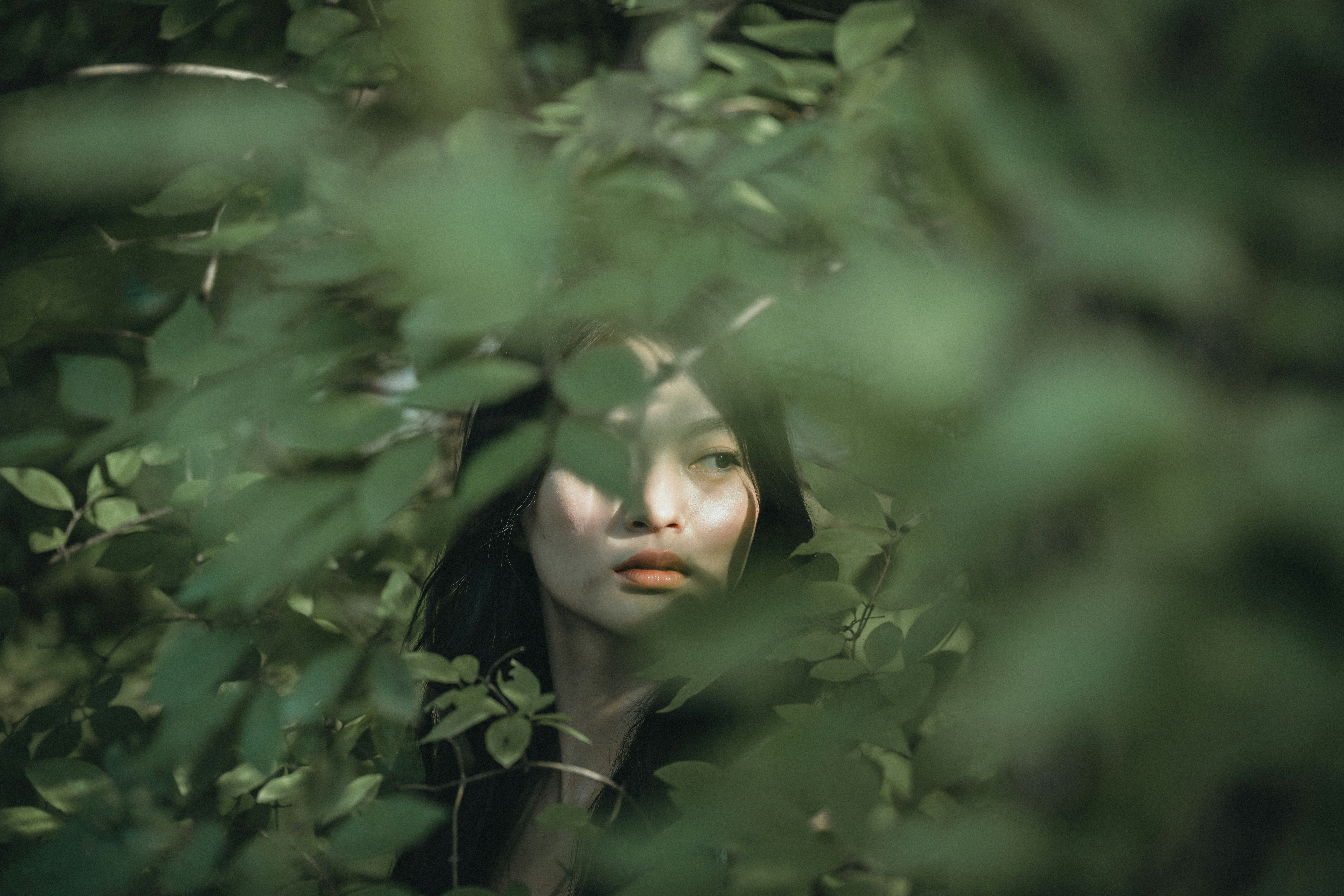 2026-07-31 · 自然框架