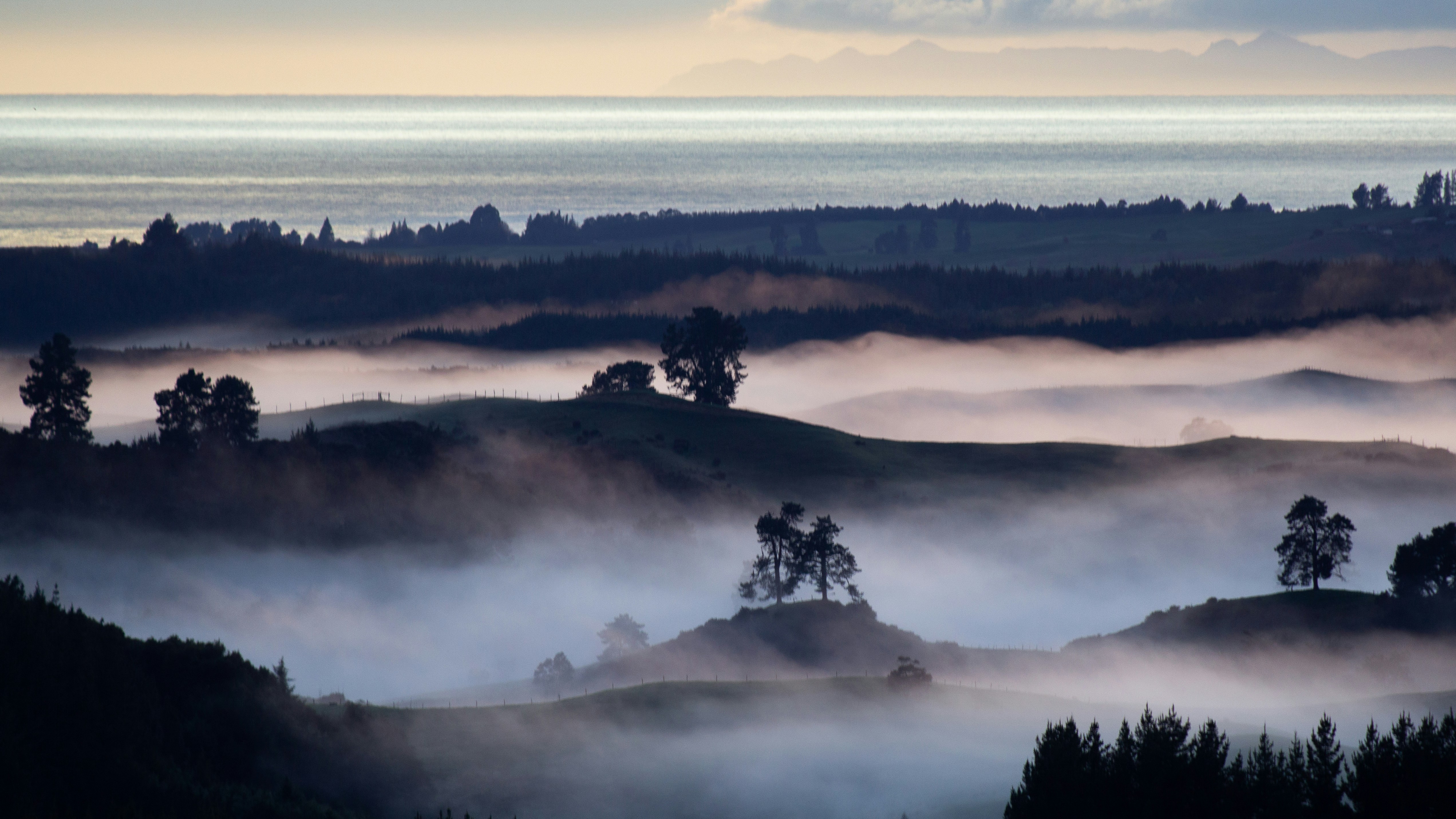 Misty hills with trees and distant ocean at sunrise.