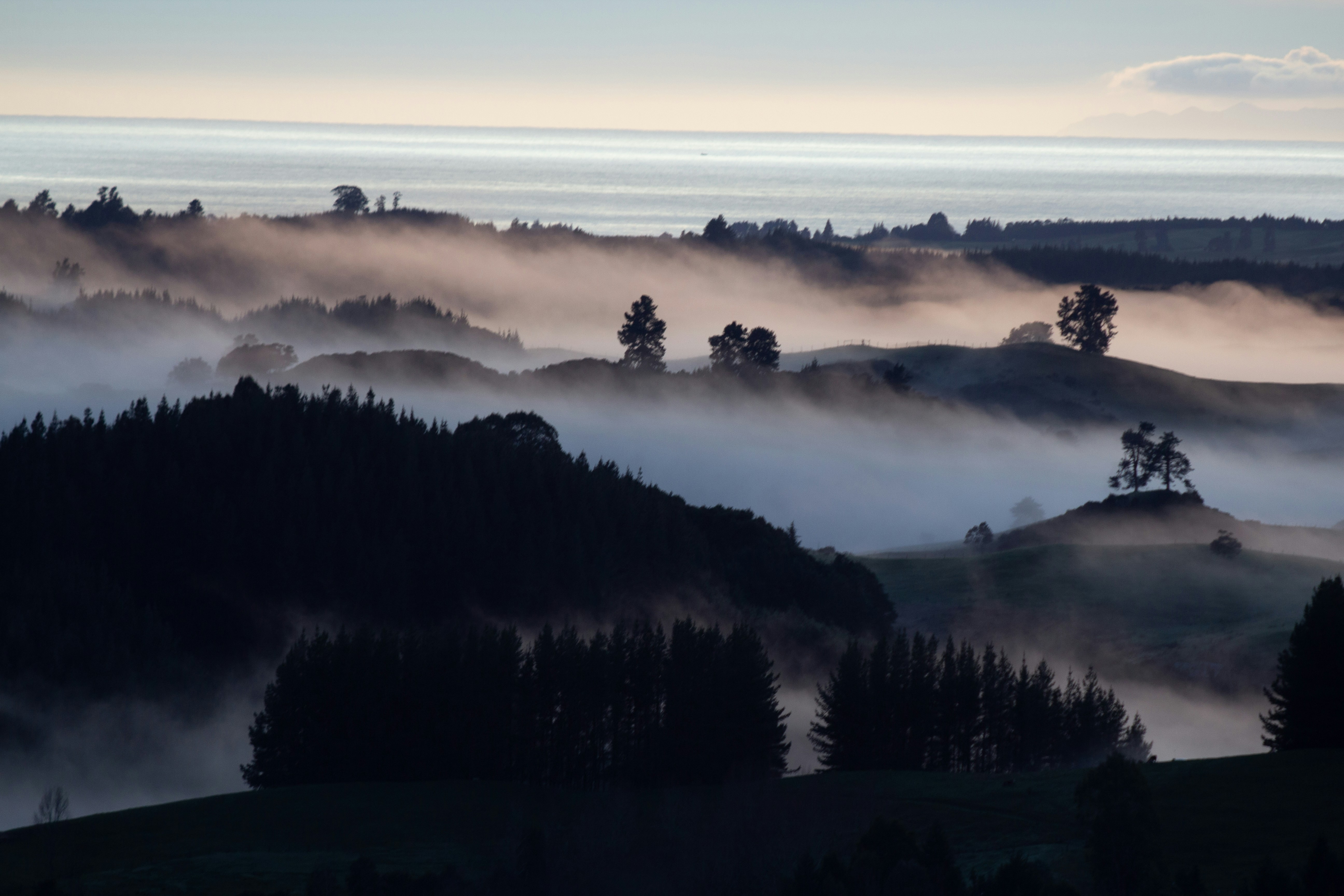 Misty hills and trees with an ocean view at dawn.