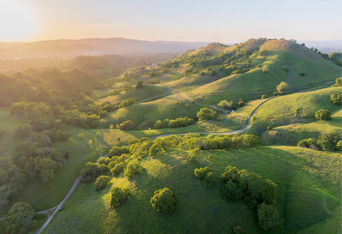 Golden rolling hills near Mount Diablo, Contra Costa County, California