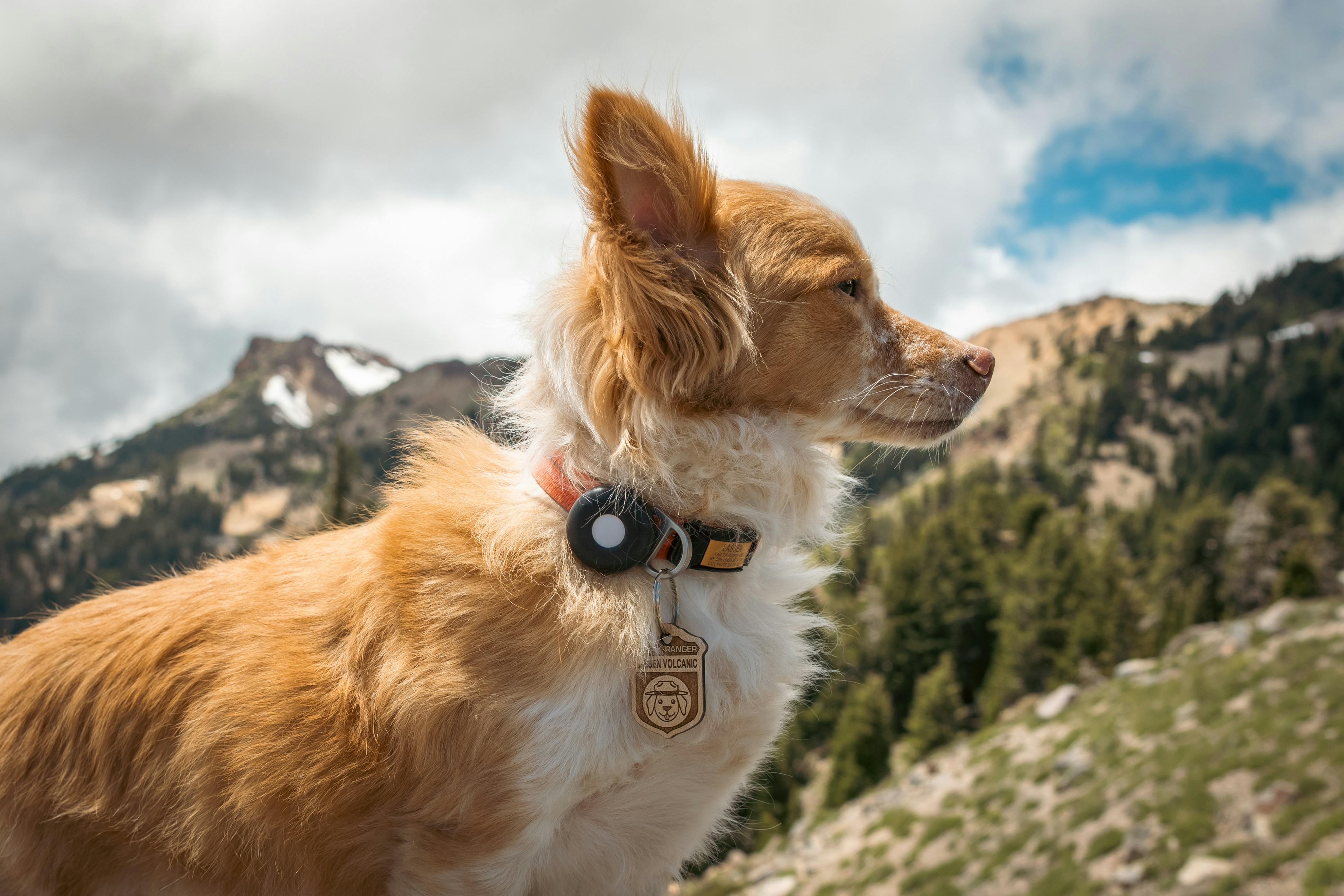 Testing Bluetooth Trackers. Photo: Product Lab Tested