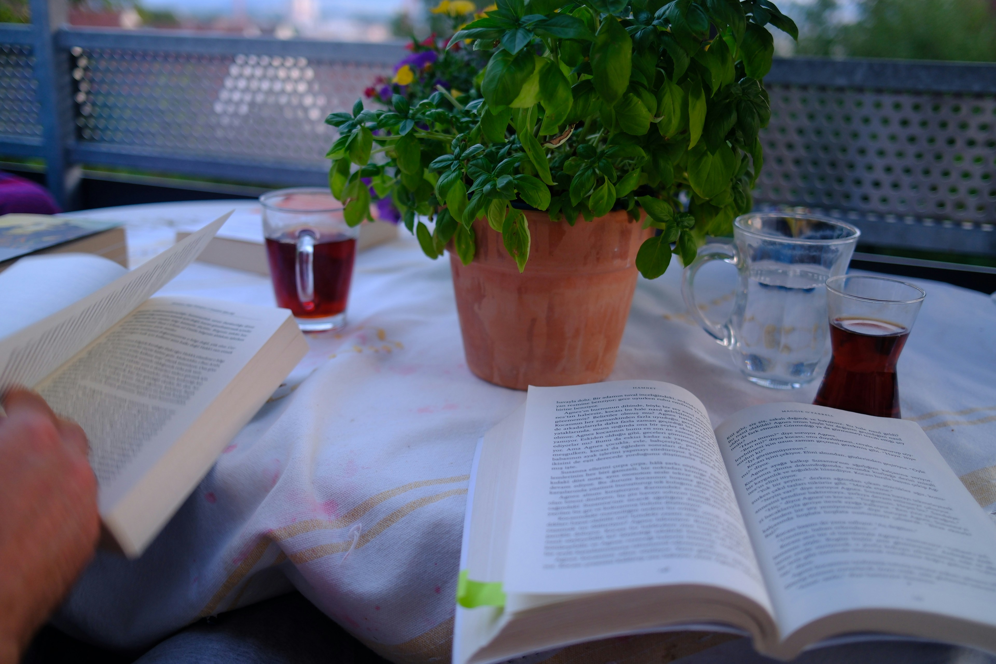 Two open books, a plant and drinks on a table