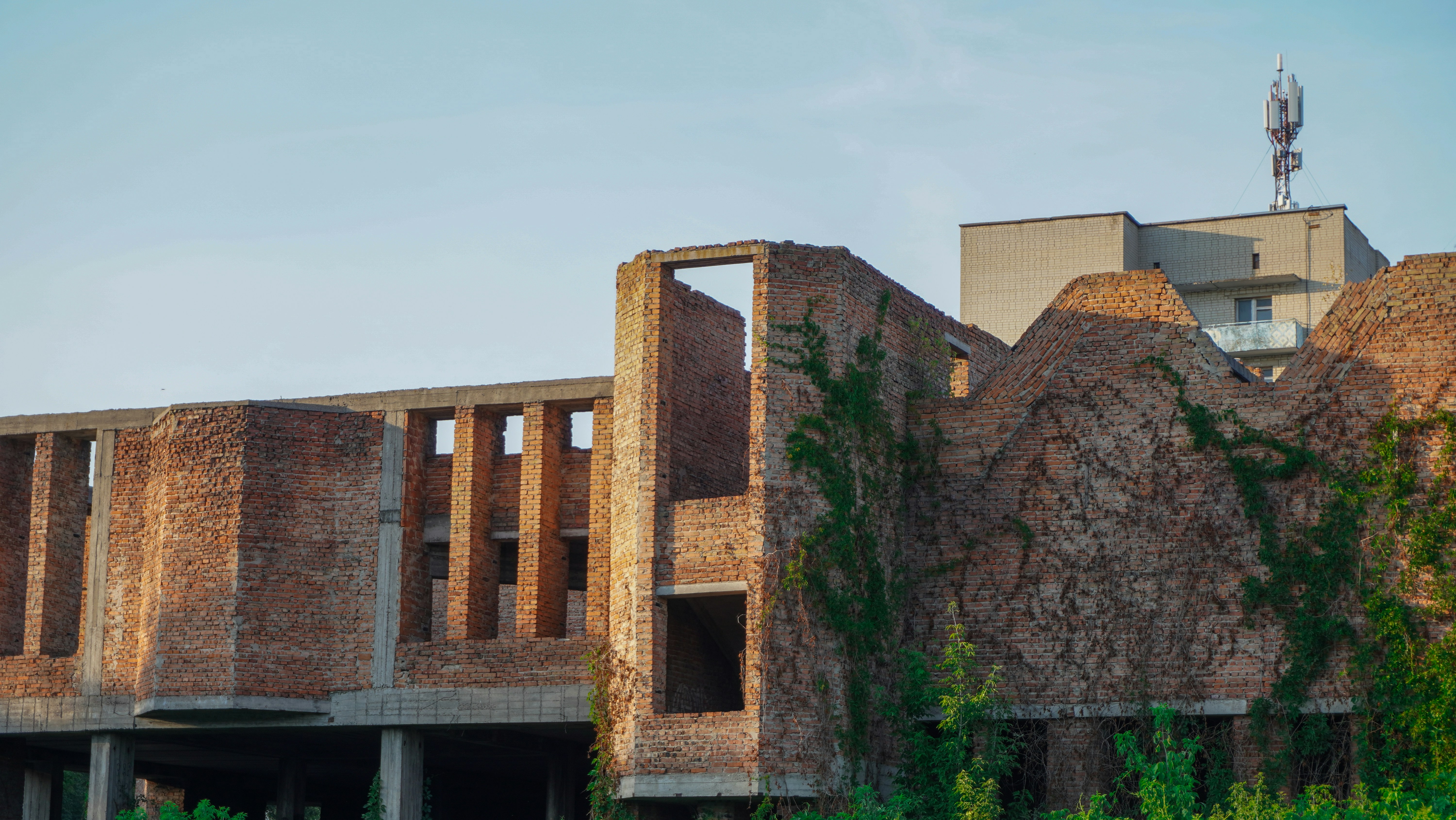 Edificio fatiscente in mattoni coperto di edera contro un cielo limpido.